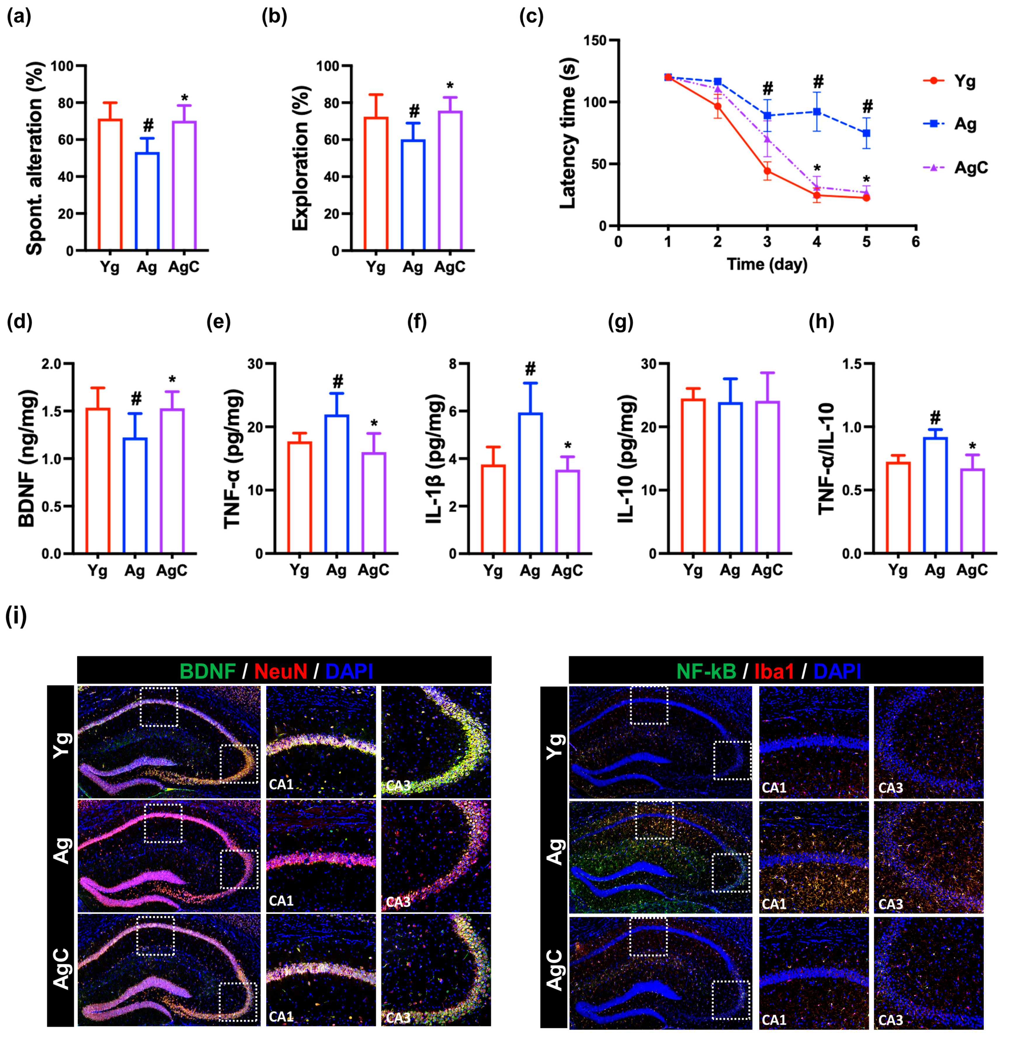 Nutrients 15 03381 g007 Nutrients 15 03381 g007