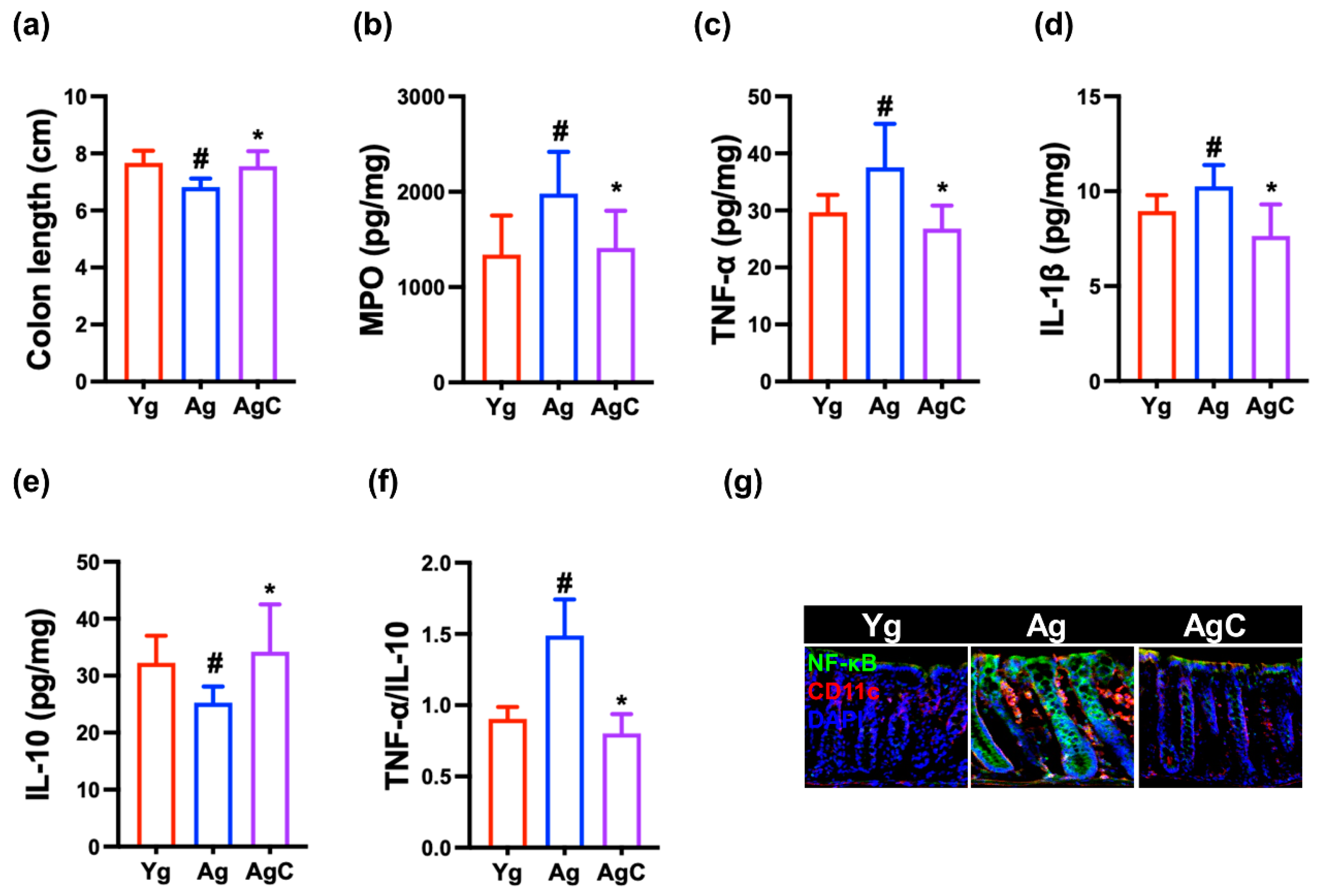 Nutrients 15 03381 g008 Nutrients 15 03381 g008