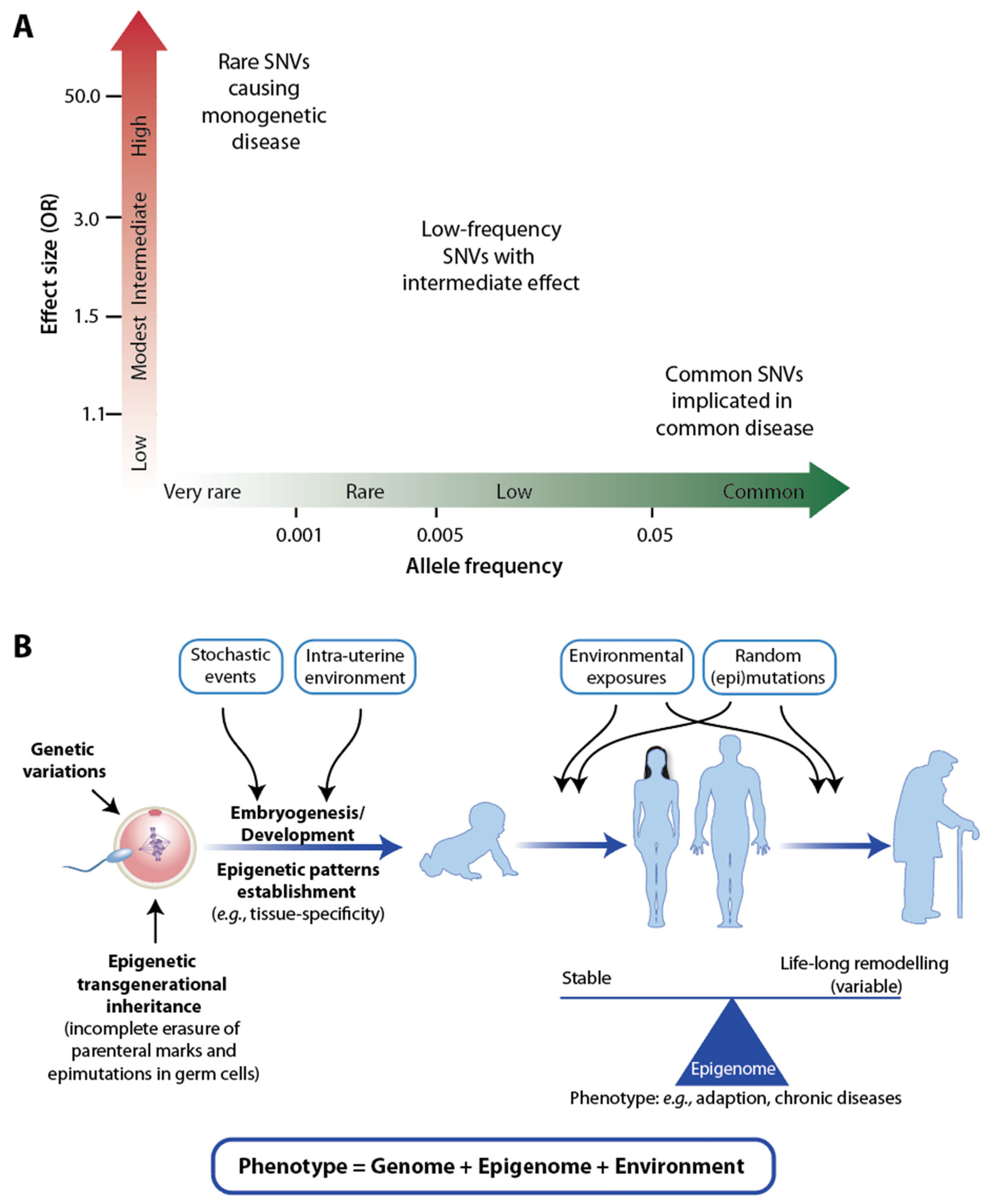 Nutrients 15 03382 g001