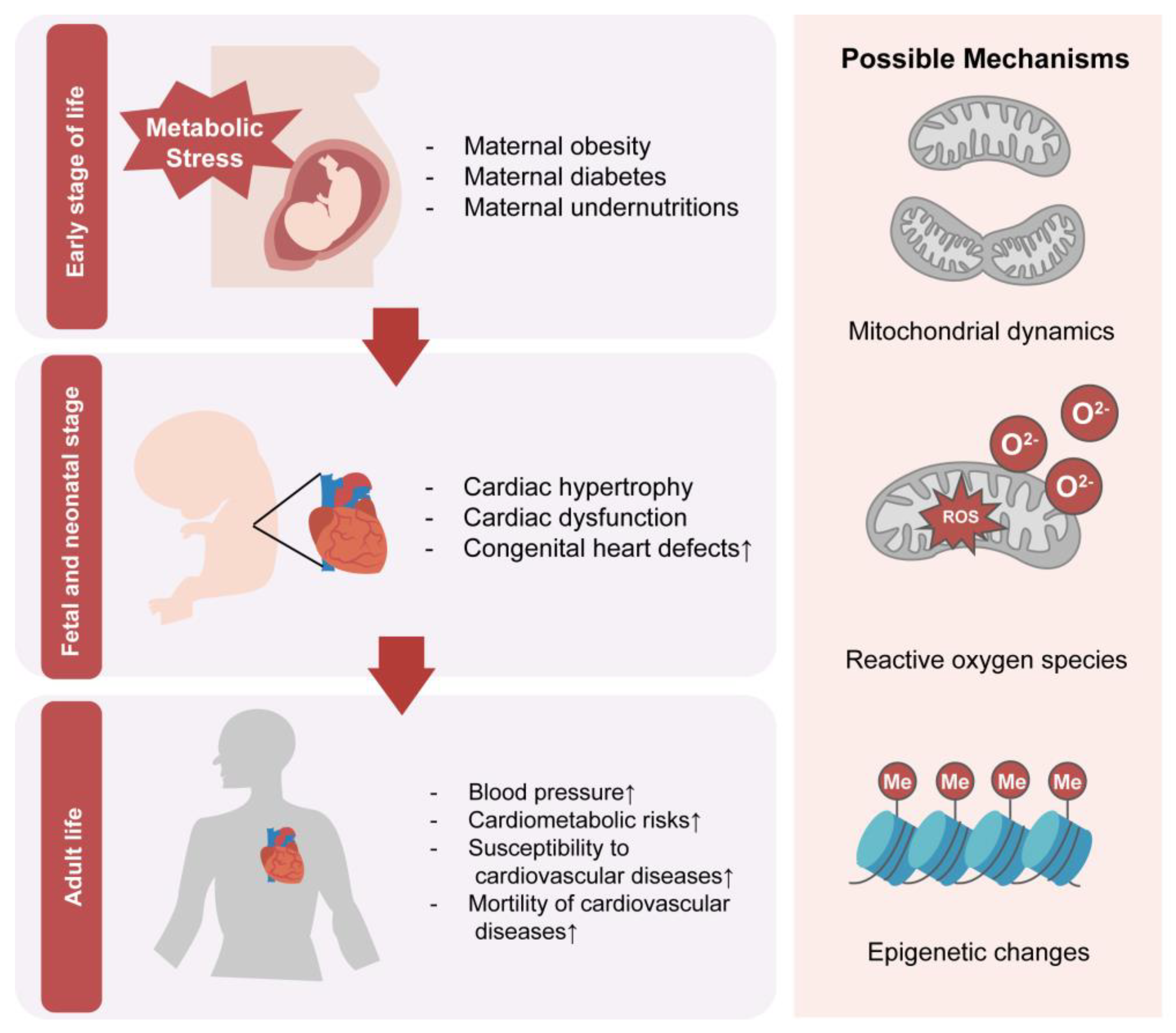 Nutrients 15 03388 g002