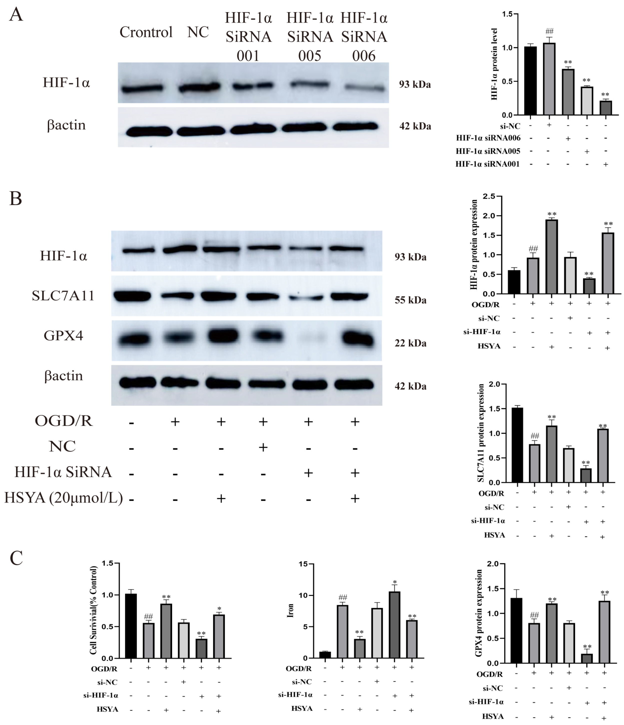 Nutrients 15 03411 g008