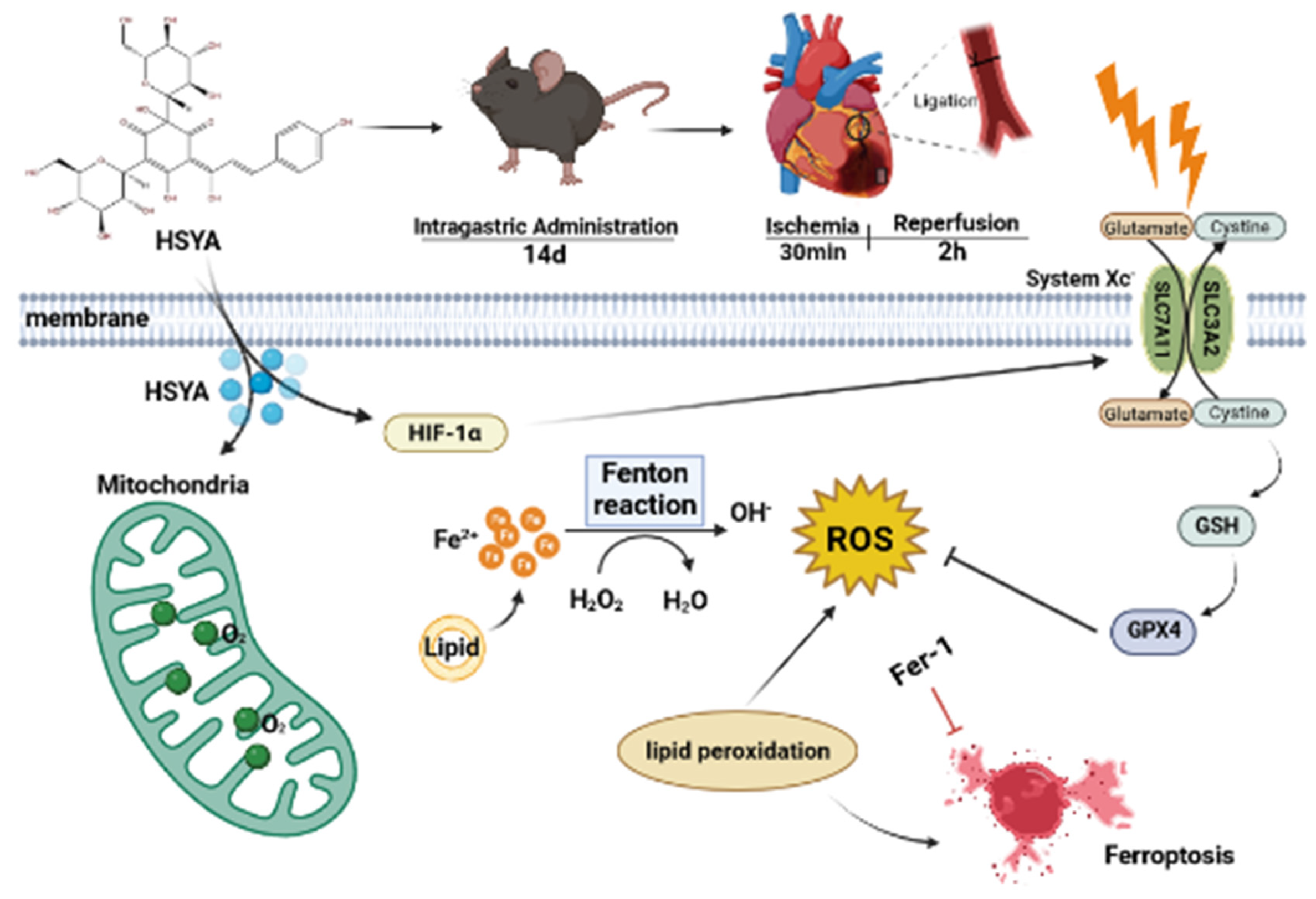 Nutrients 15 03411 g009