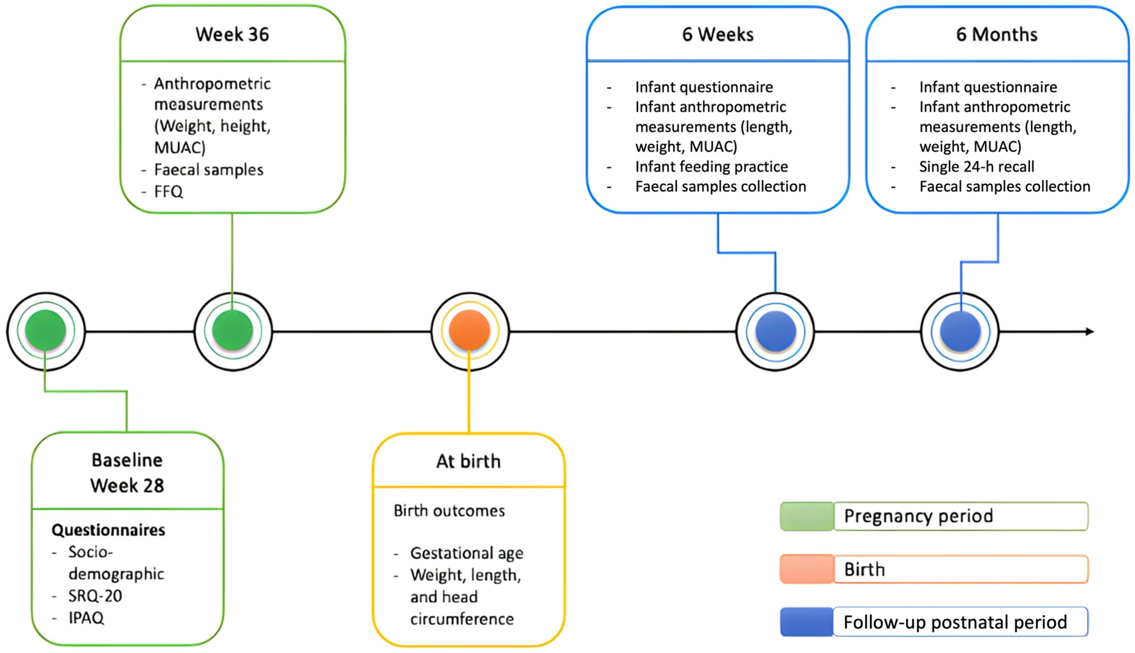 Nutrients 15 03420 g001