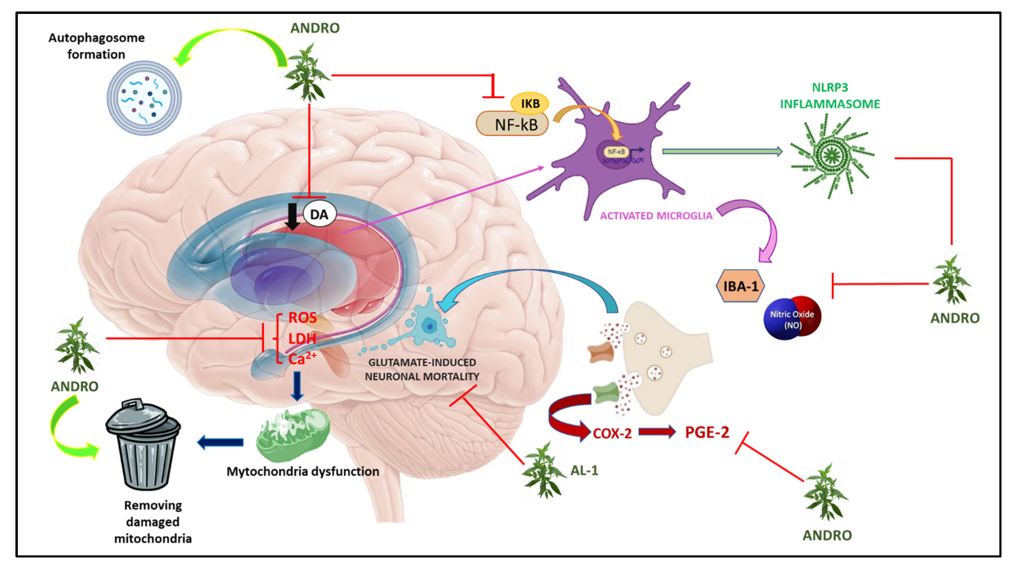 Nutrients 15 03428 g003