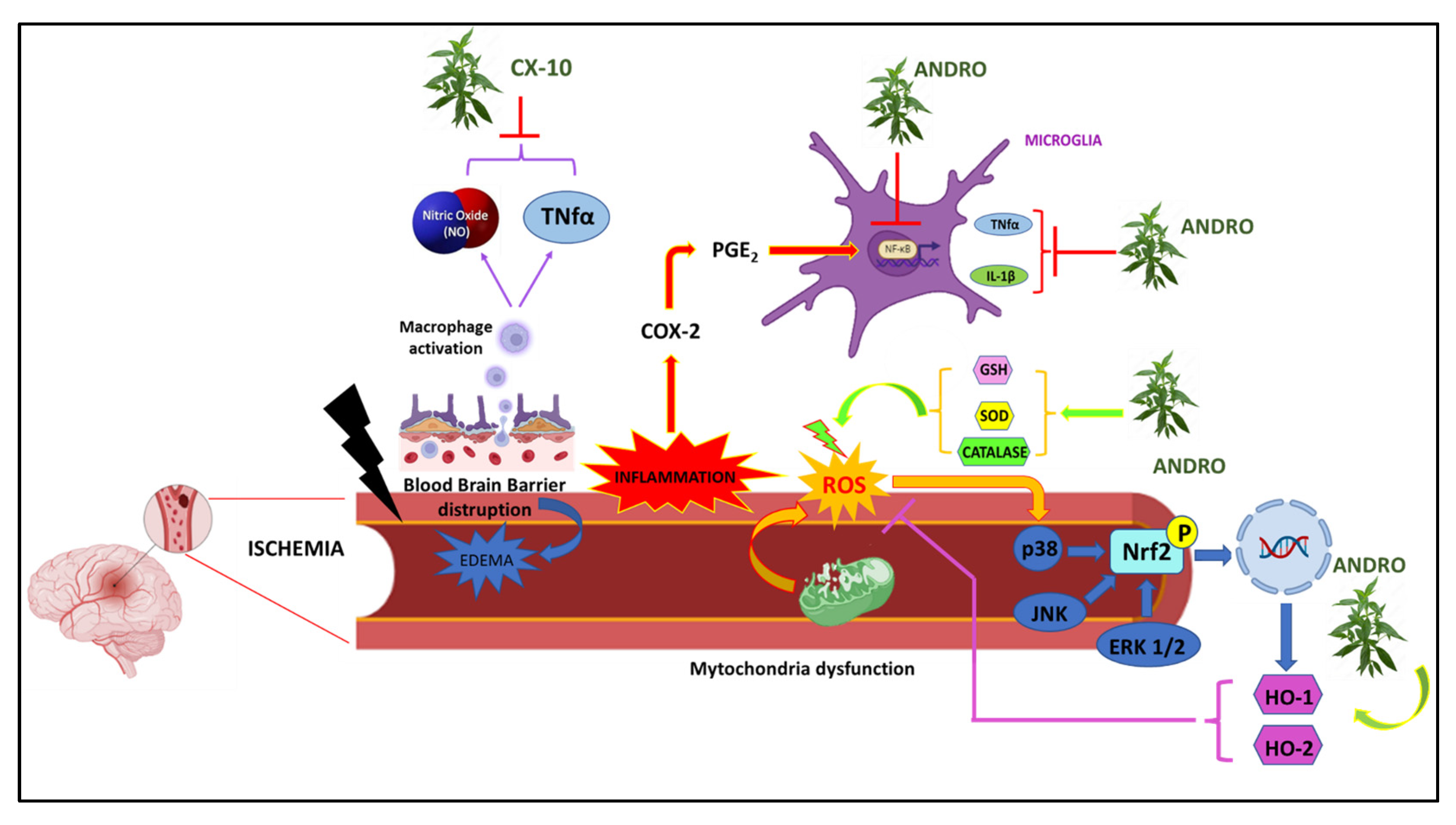 Nutrients 15 03428 g004