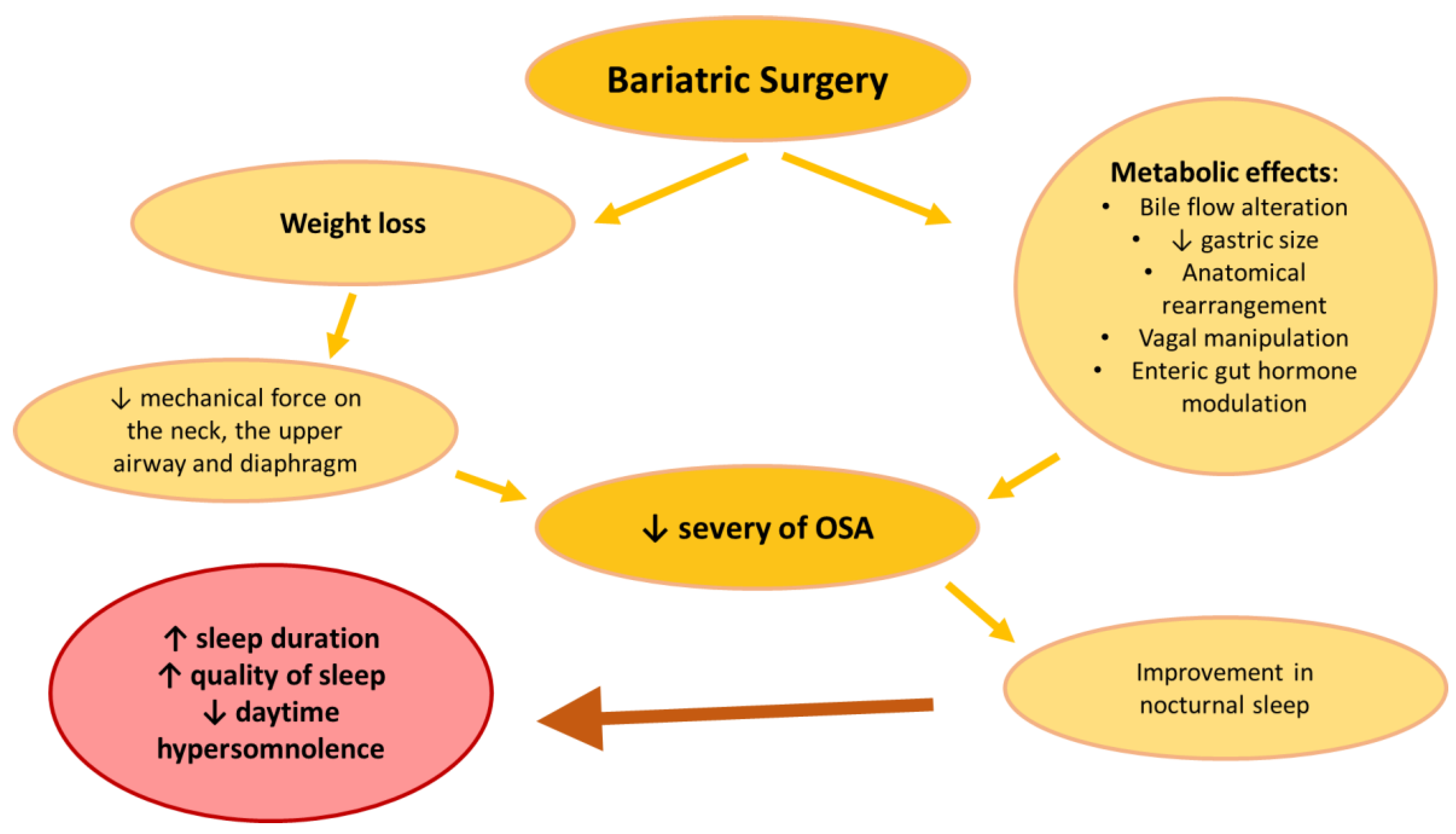 Nutrients 15 03431 g003