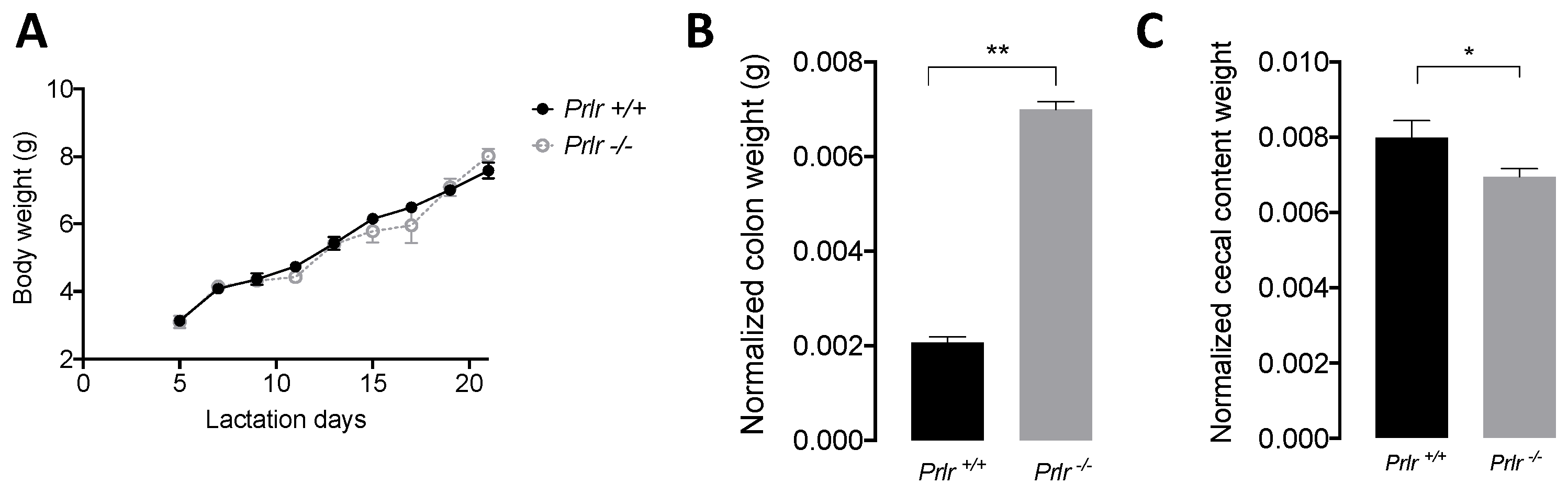Nutrients 15 03447 g001