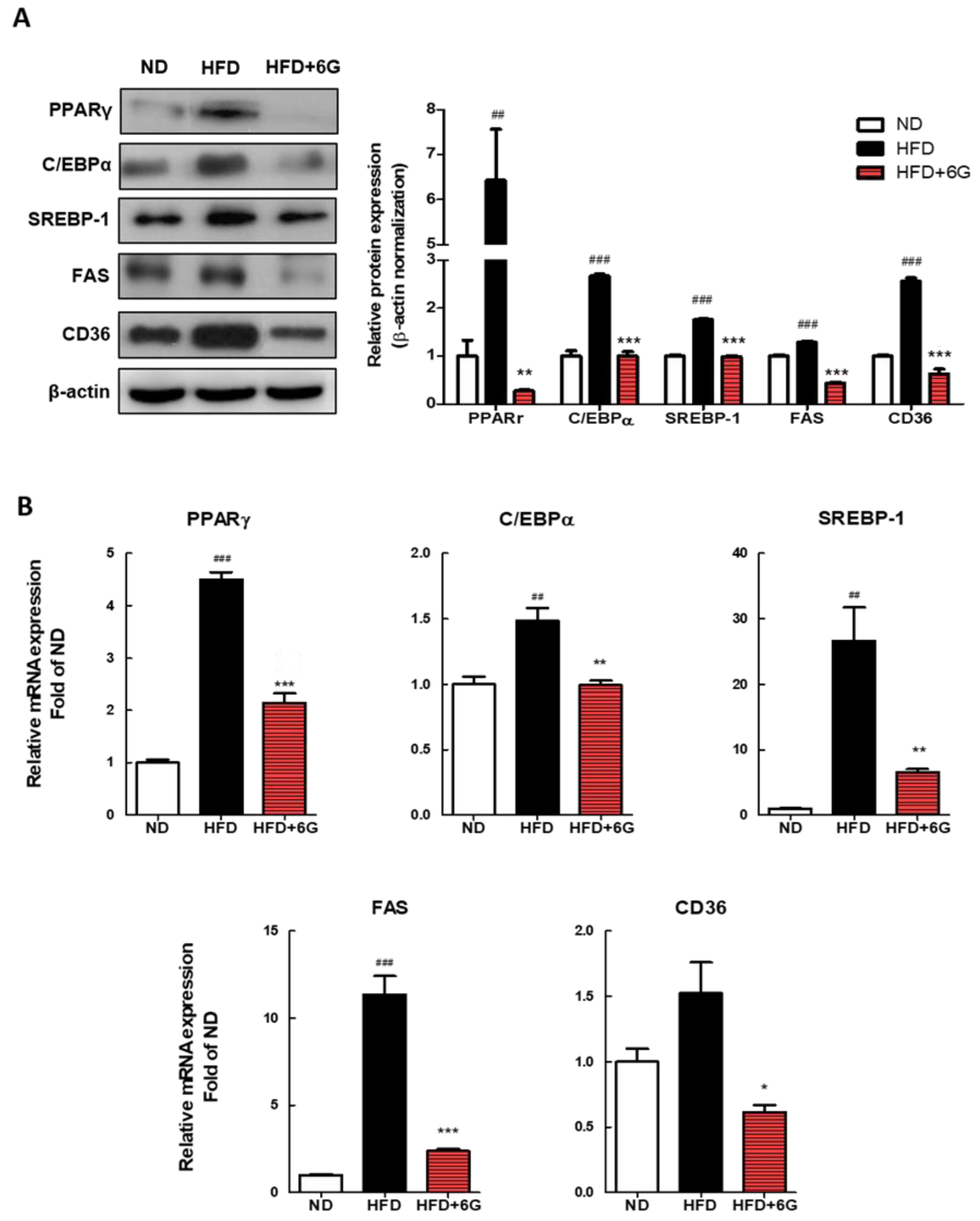 Nutrients 15 03457 g002