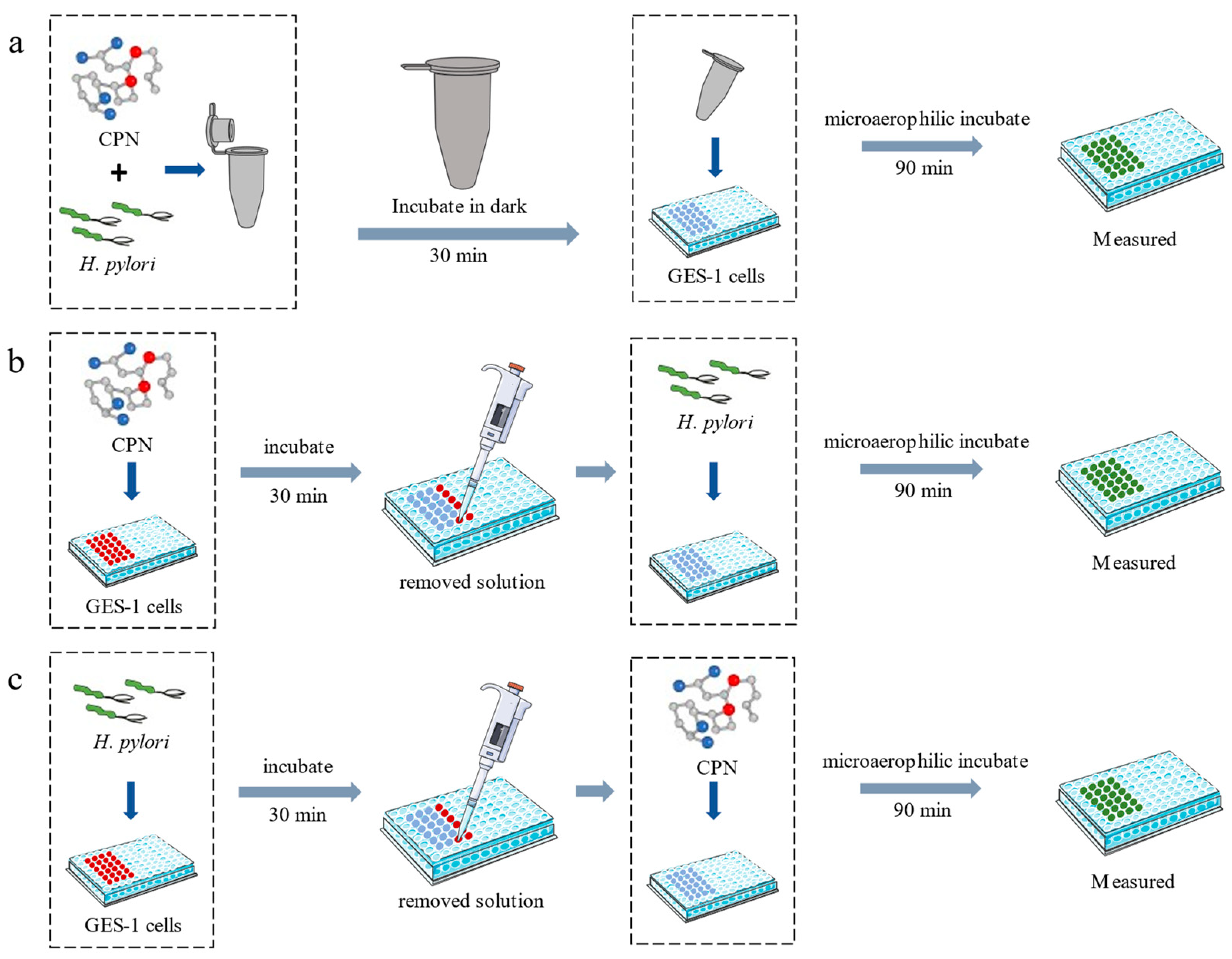 Nutrients 15 03467 g001