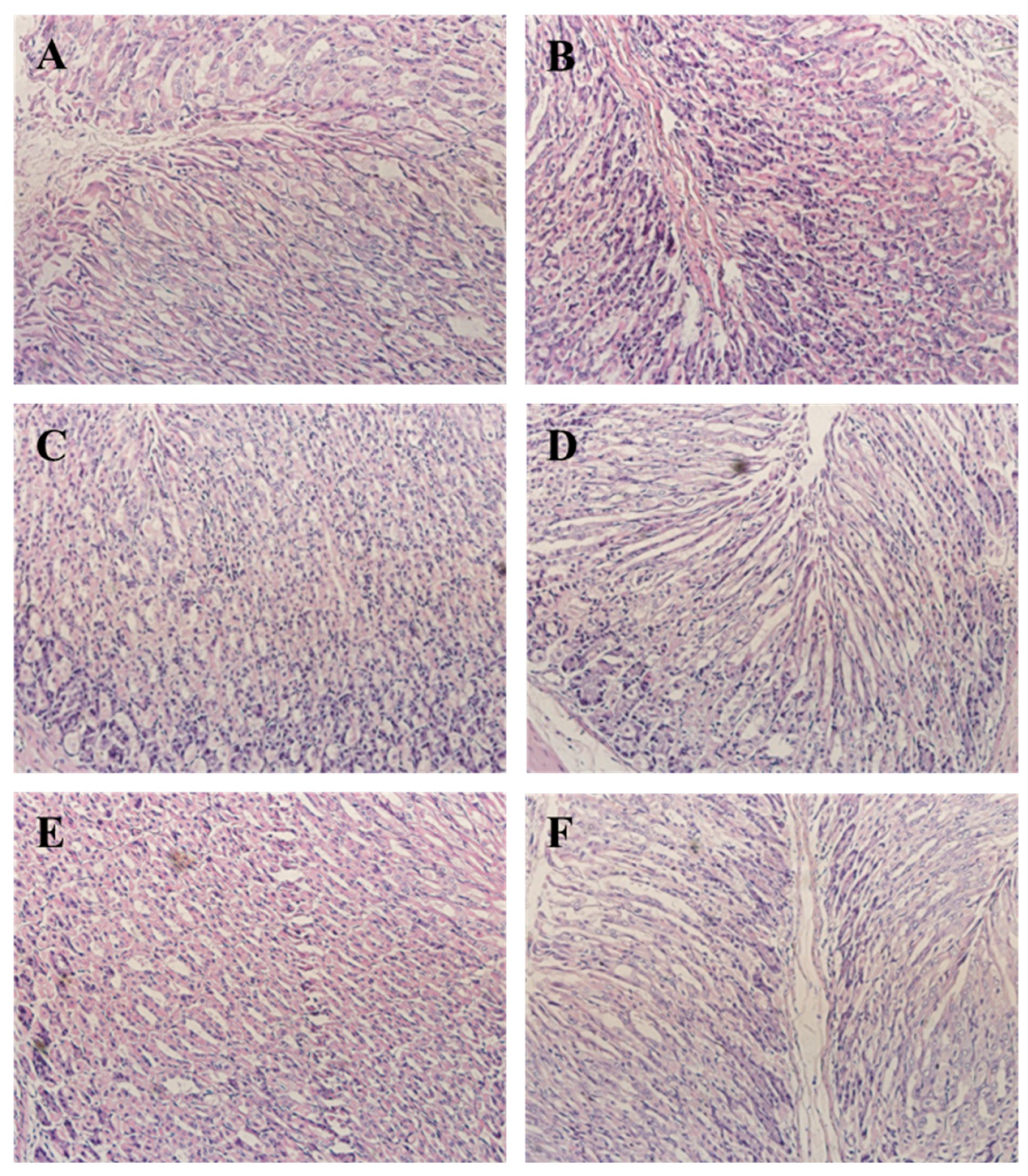 Nutrients 15 03467 g004