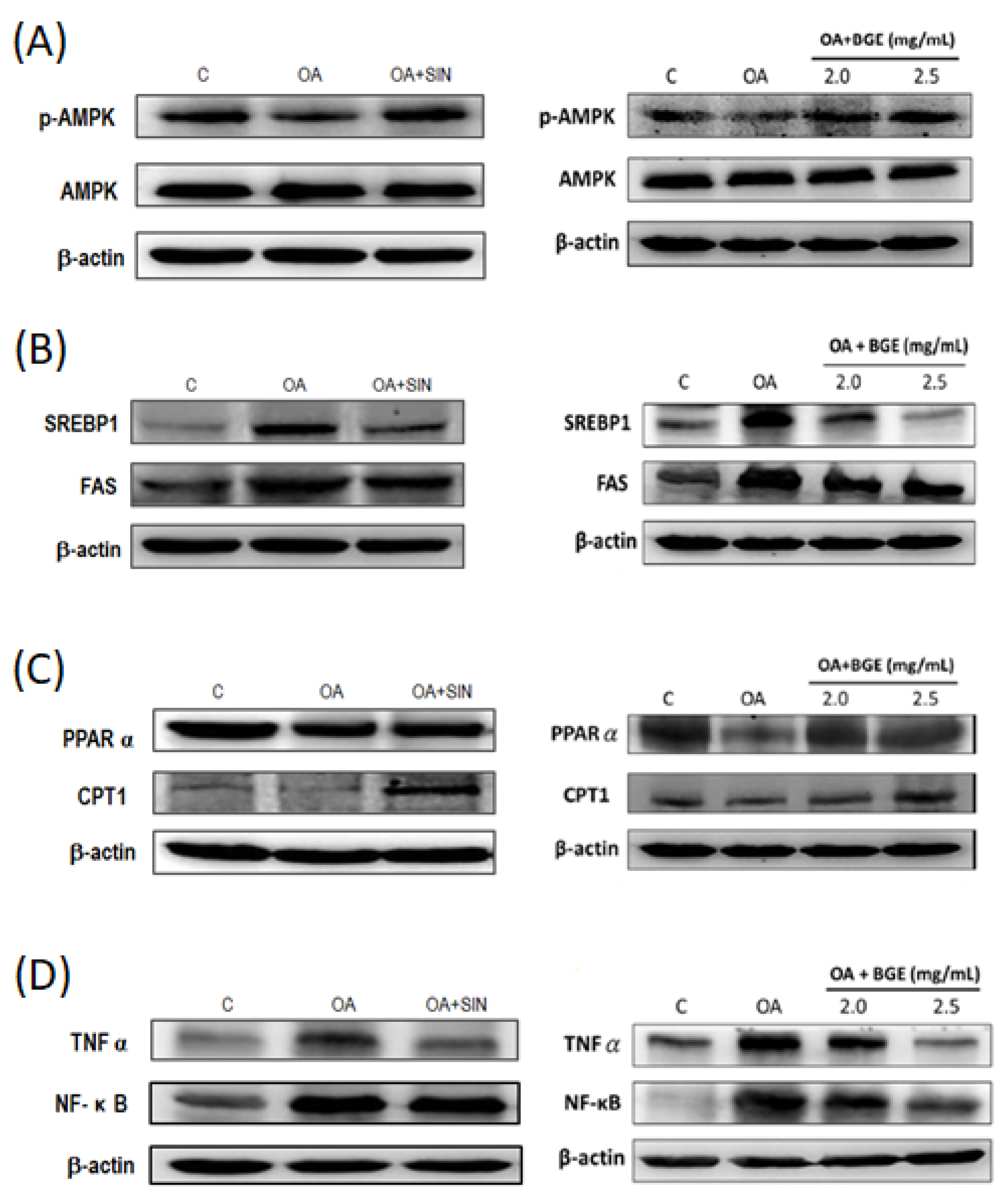 Nutrients 15 03497 g008 Nutrients 15 03497 g008