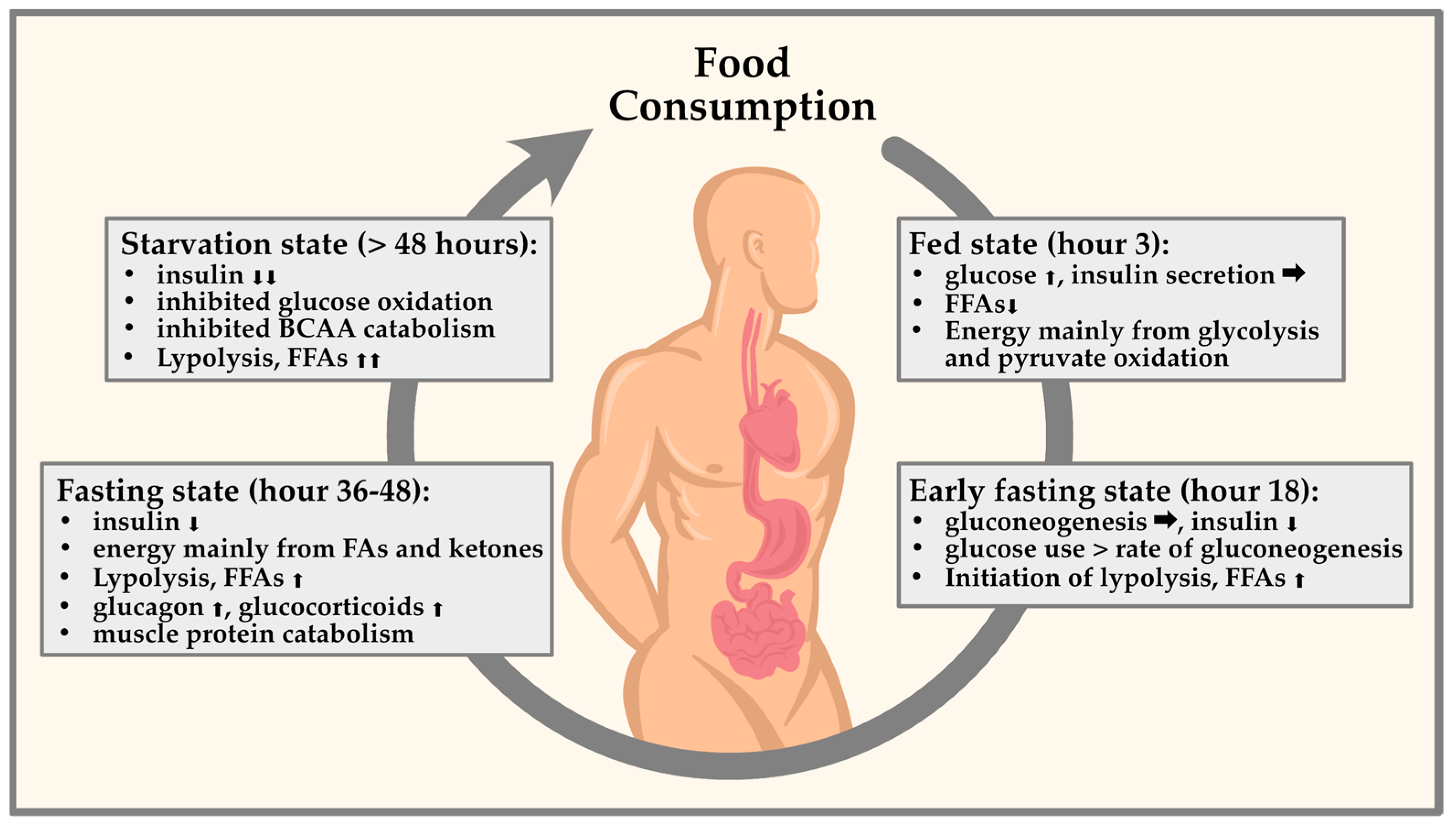 Nutrients 15 03525 g001 Nutrients 15 03525 g001
