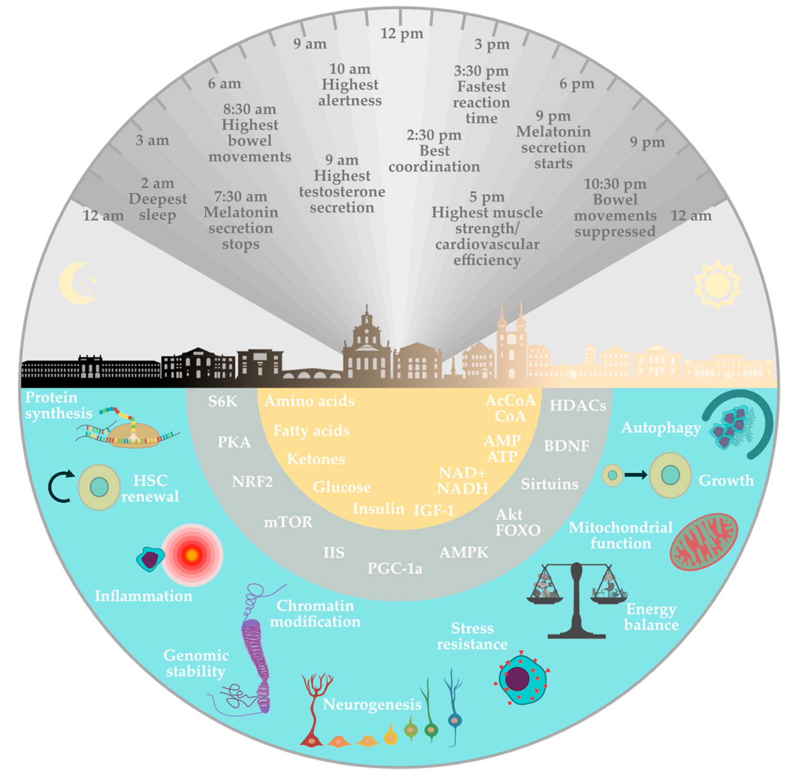 Nutrients 15 03525 g002 Nutrients 15 03525 g002