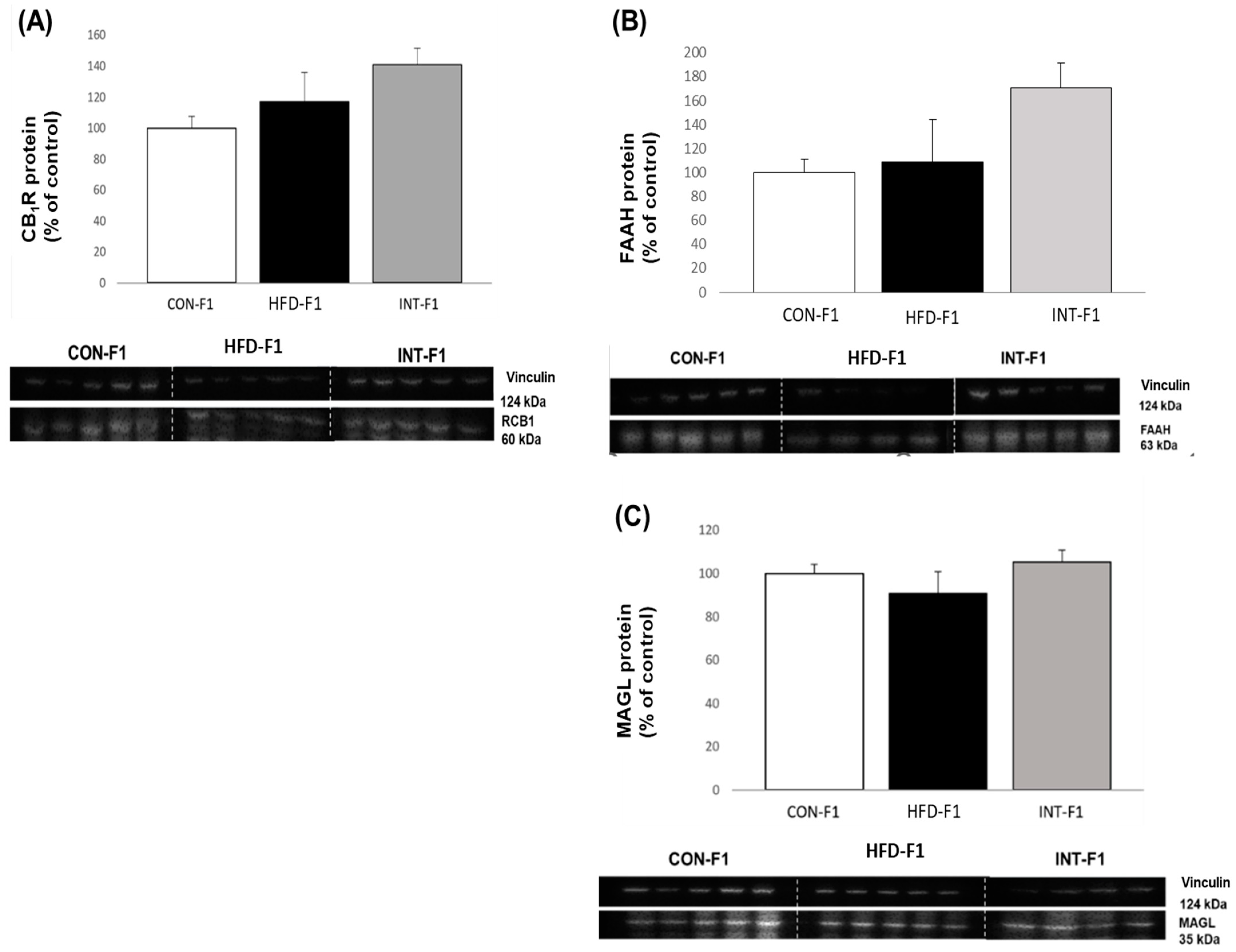 Nutrients 15 03531 g005 Nutrients 15 03531 g005