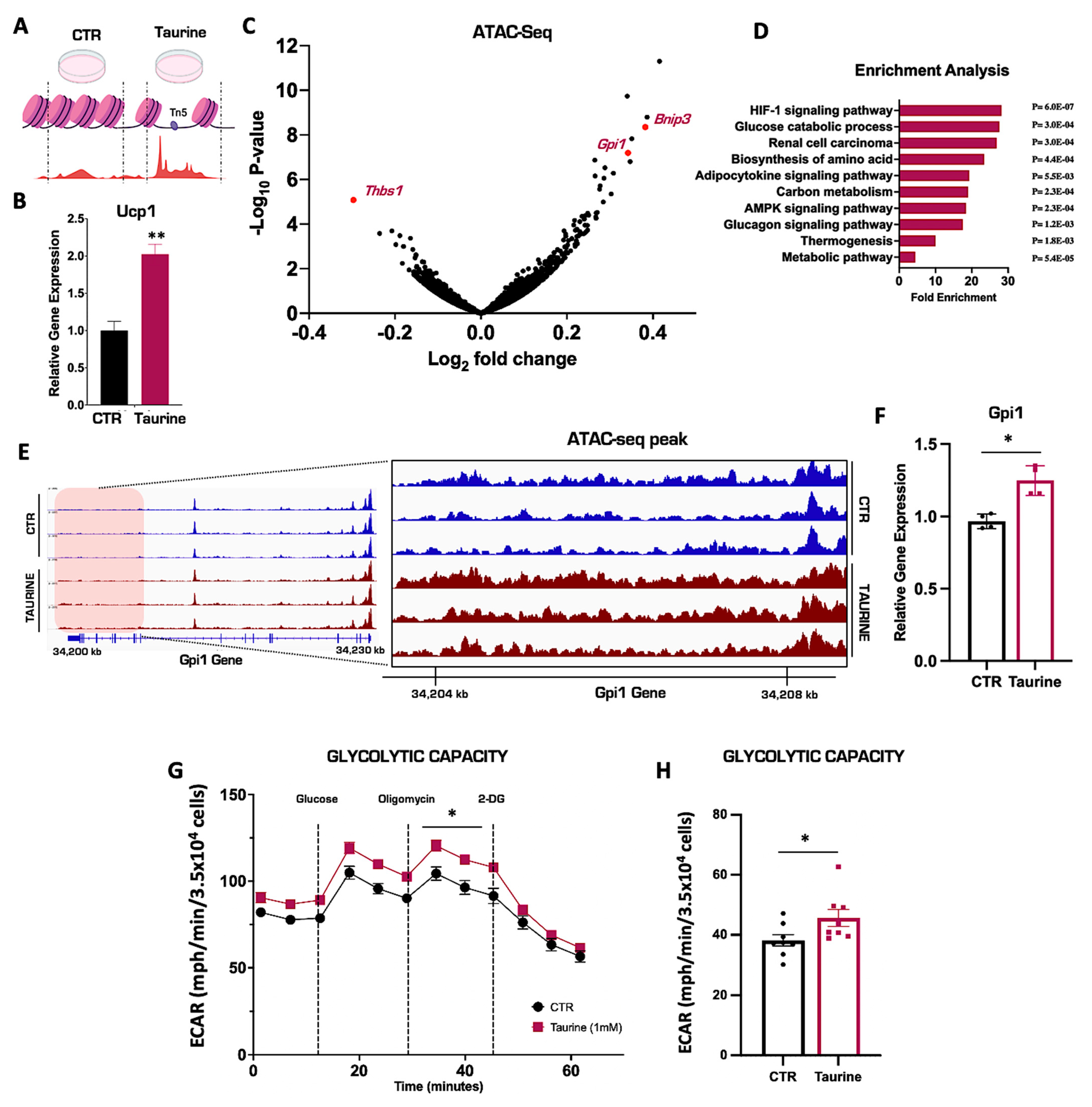 Nutrients 15 03532 g003 Nutrients 15 03532 g003