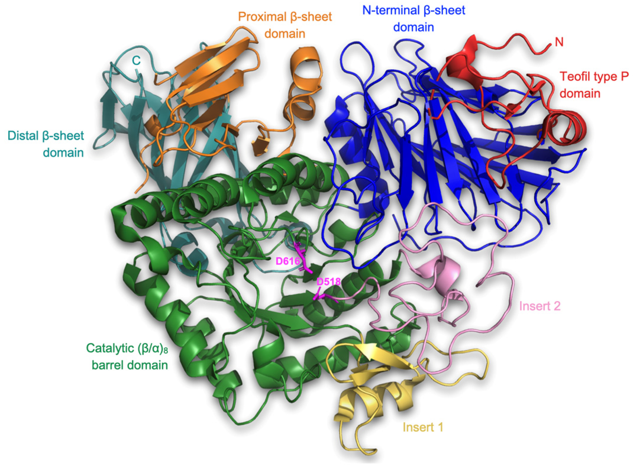 Nutrients 15 03539 g001 Nutrients 15 03539 g001