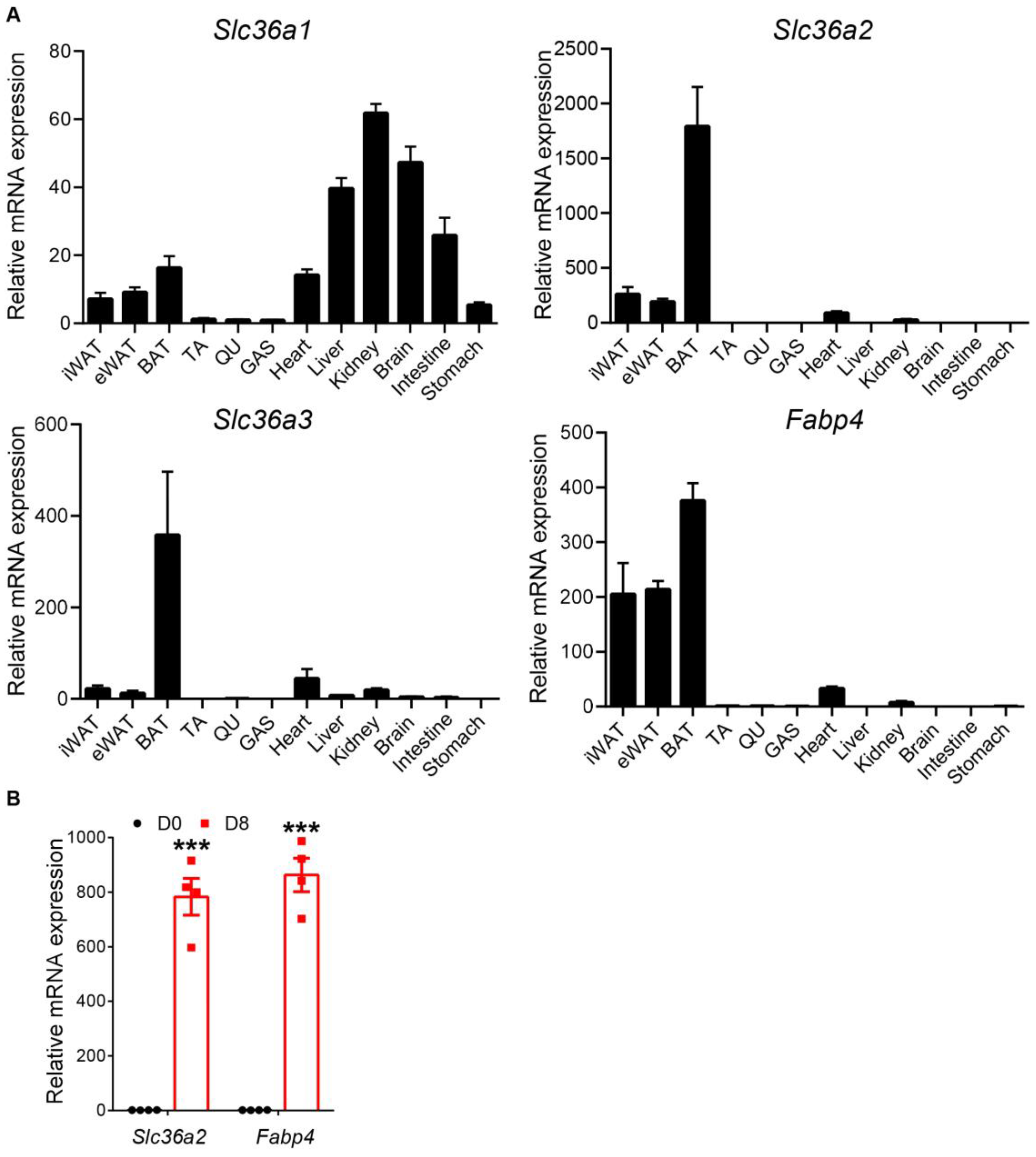Nutrients 15 03552 g001 Nutrients 15 03552 g001