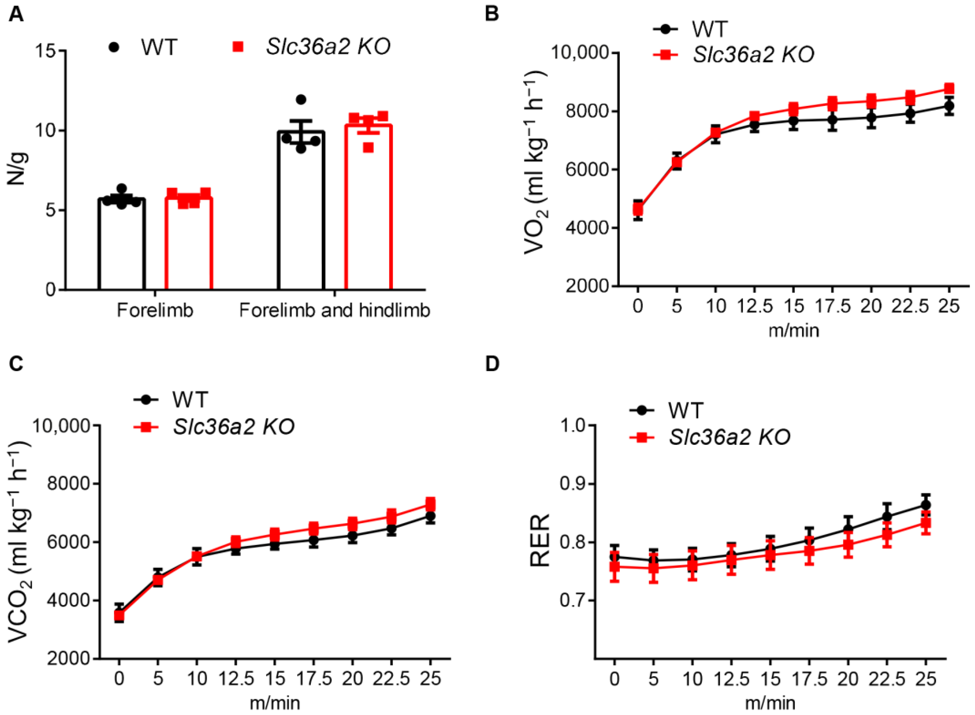 Nutrients 15 03552 g003 Nutrients 15 03552 g003