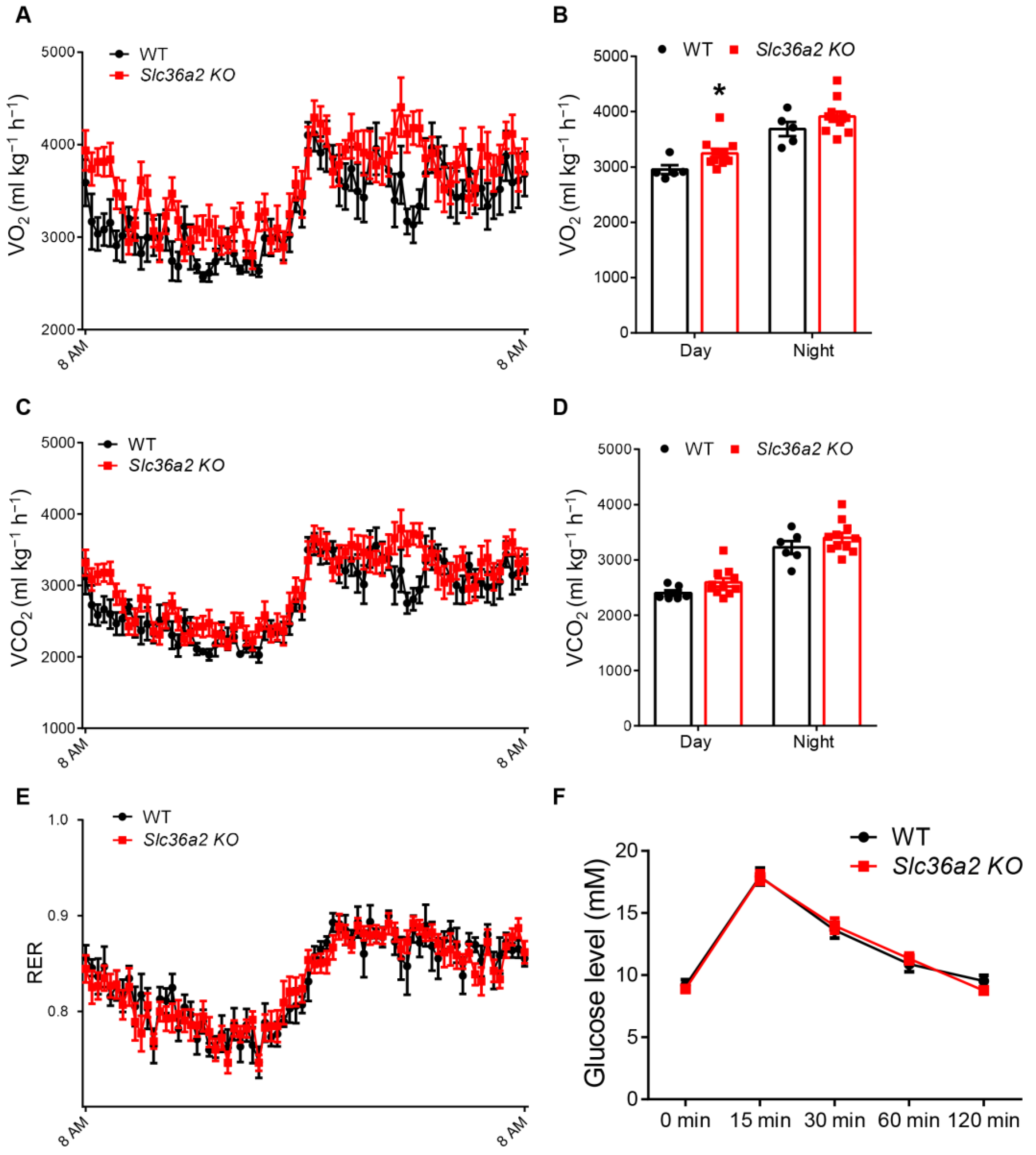 Nutrients 15 03552 g004 Nutrients 15 03552 g004