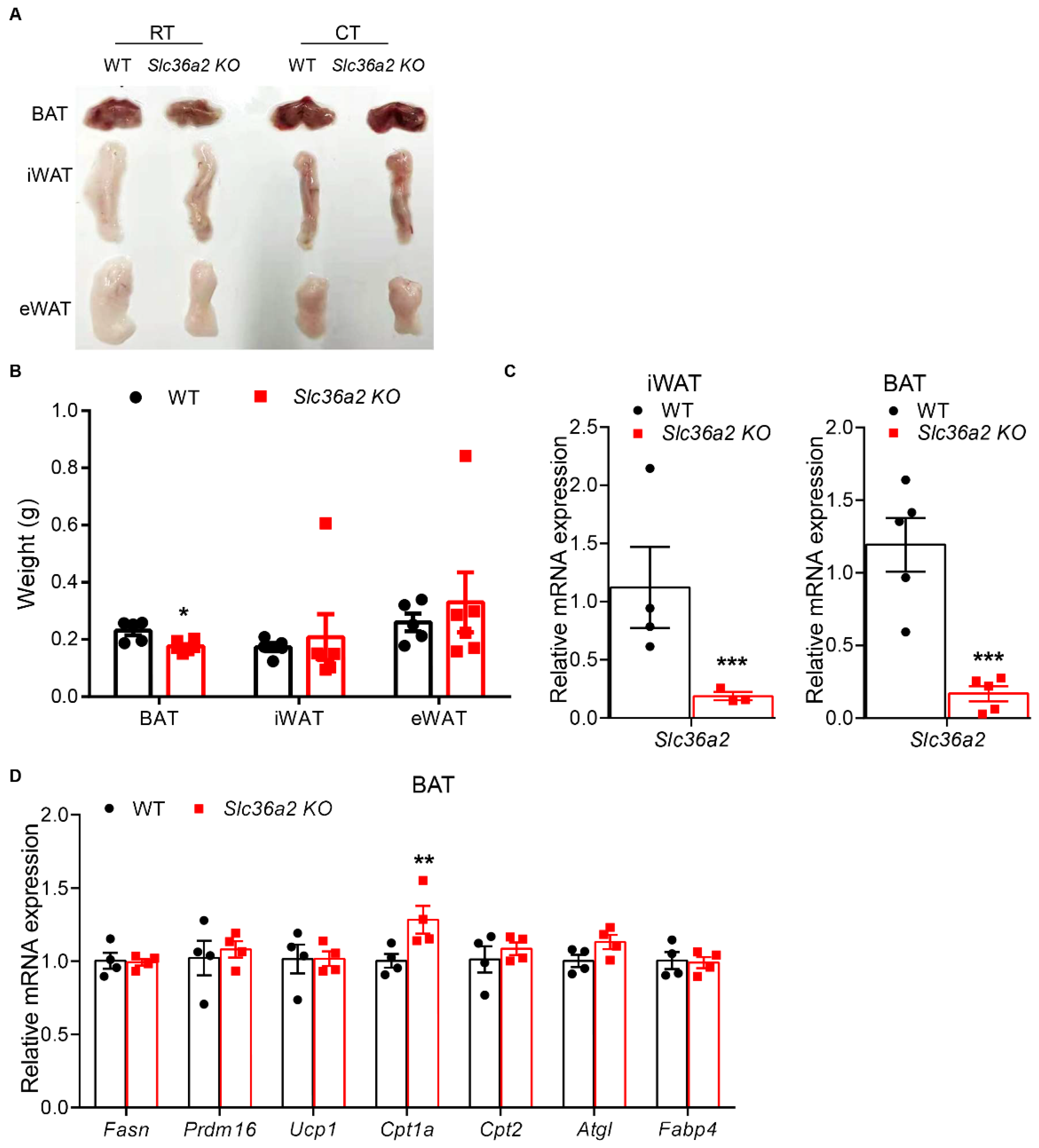 Nutrients 15 03552 g005 Nutrients 15 03552 g005