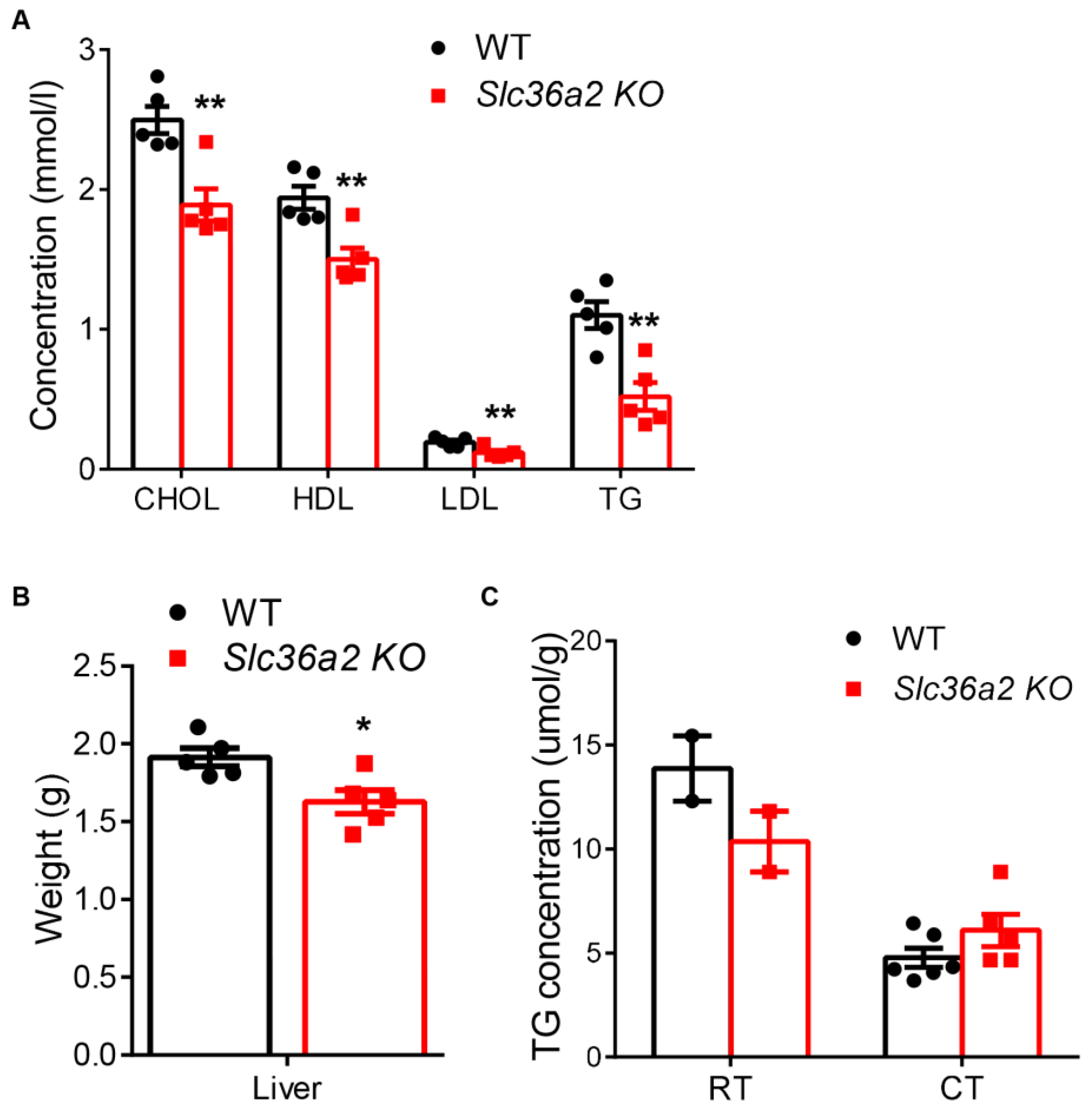 Nutrients 15 03552 g006 Nutrients 15 03552 g006