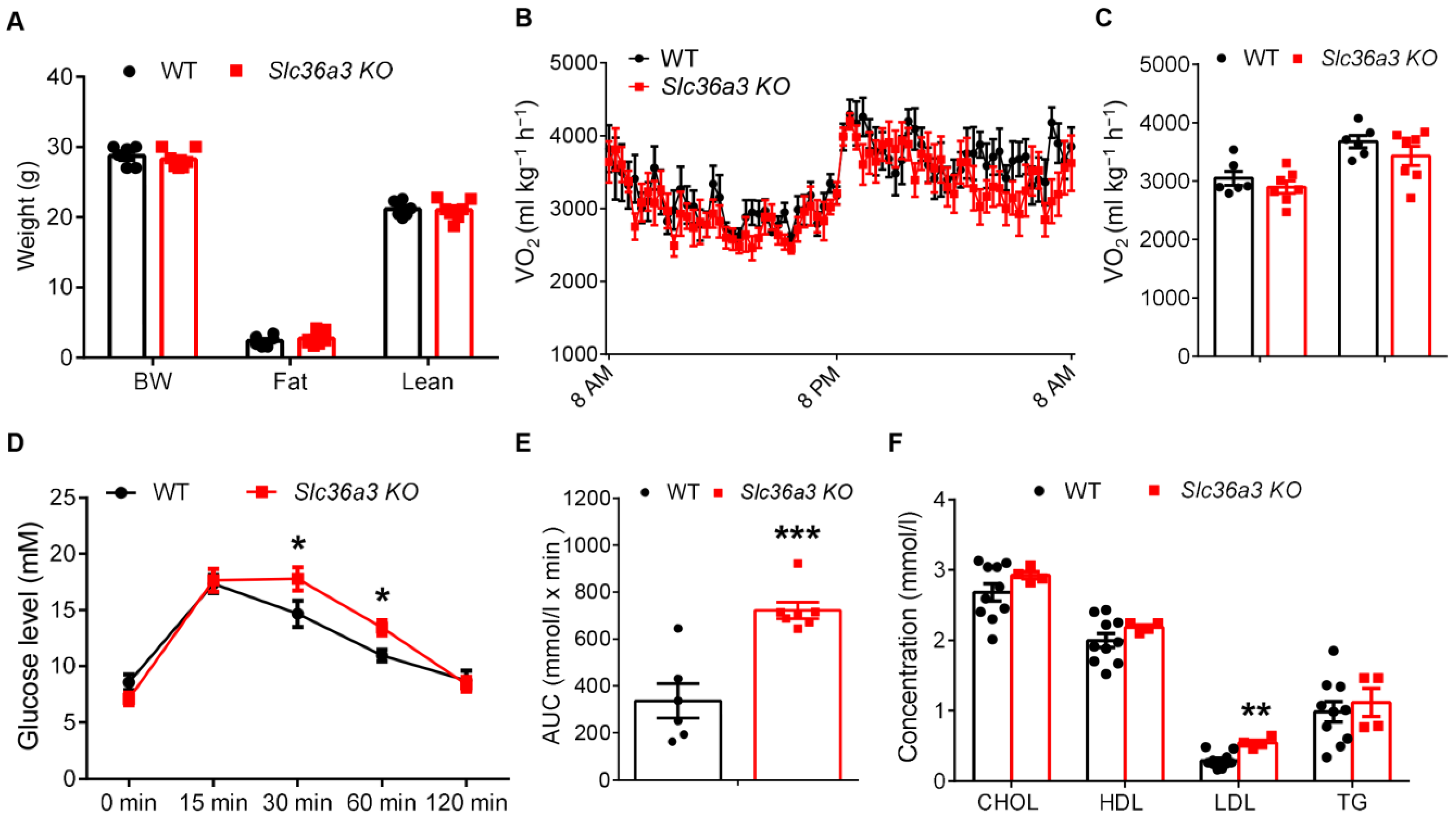 Nutrients 15 03552 g007 Nutrients 15 03552 g007