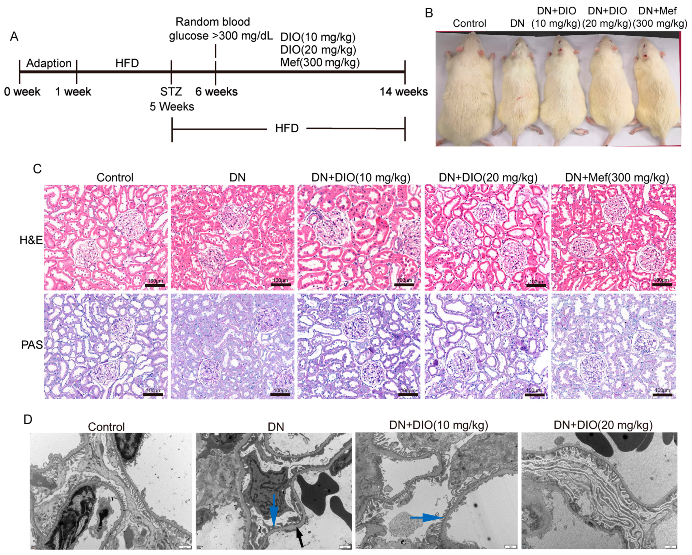 Nutrients 15 03554 g001 Nutrients 15 03554 g001