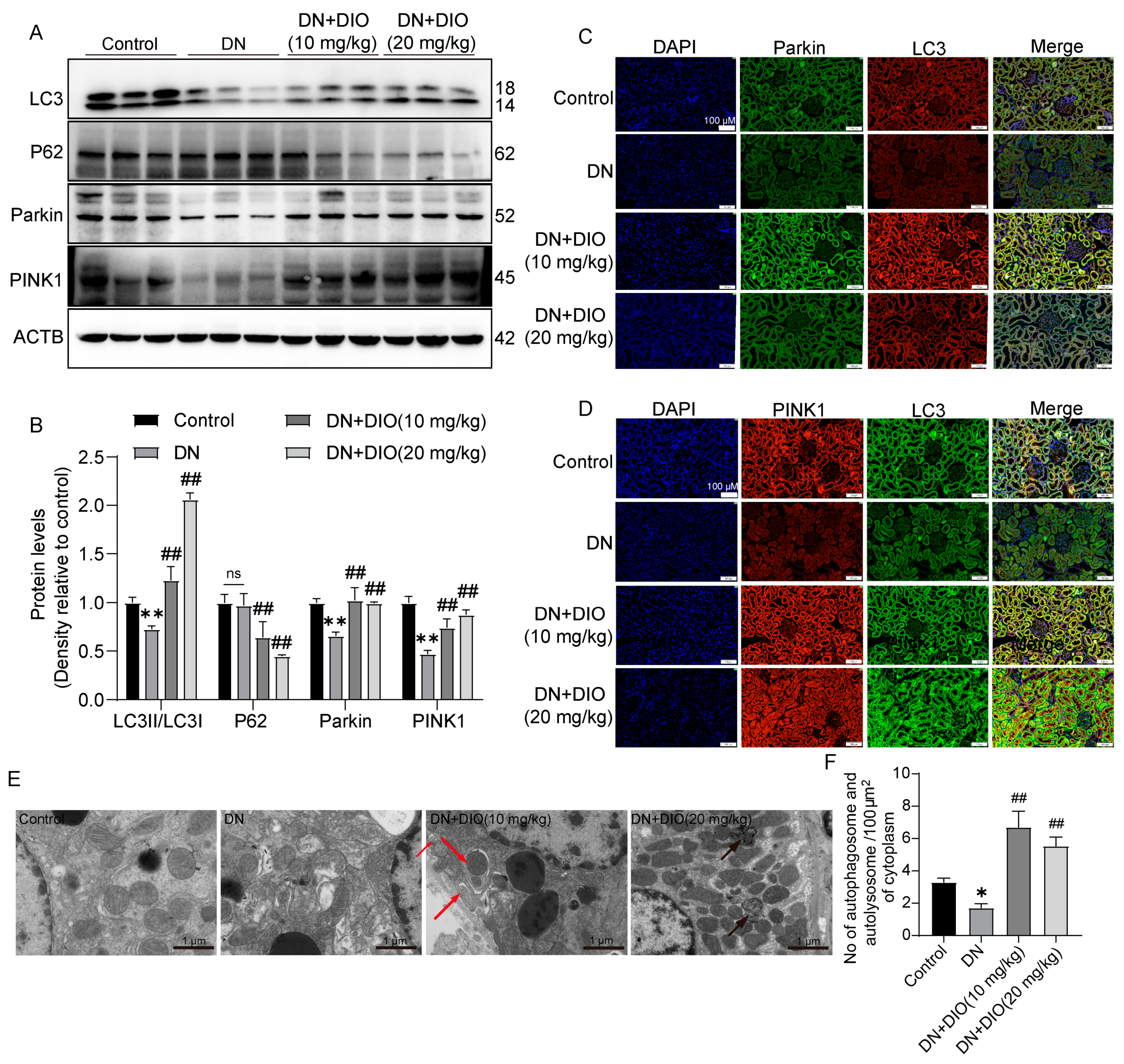 Nutrients 15 03554 g002 Nutrients 15 03554 g002