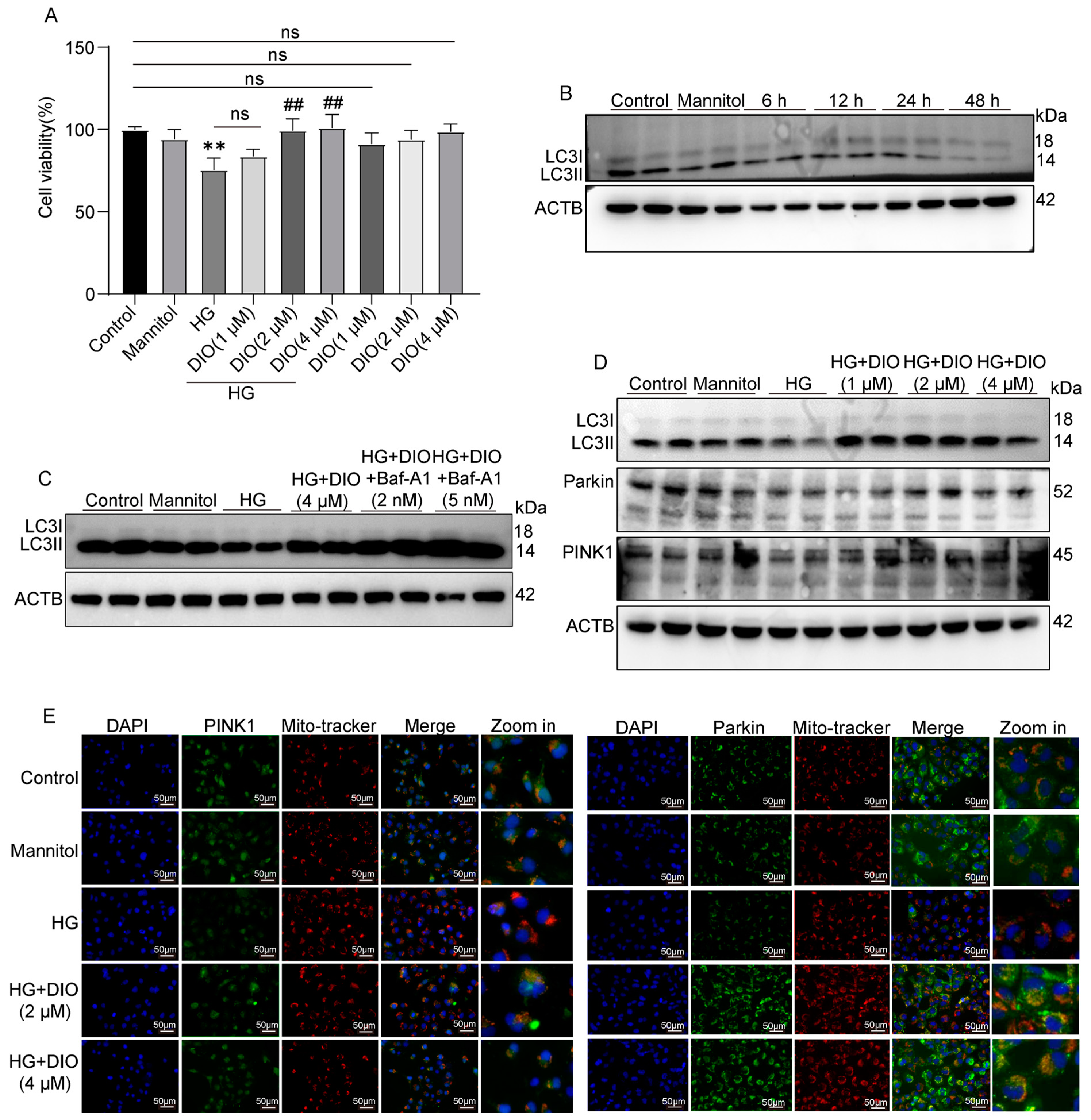 Nutrients 15 03554 g003 Nutrients 15 03554 g003