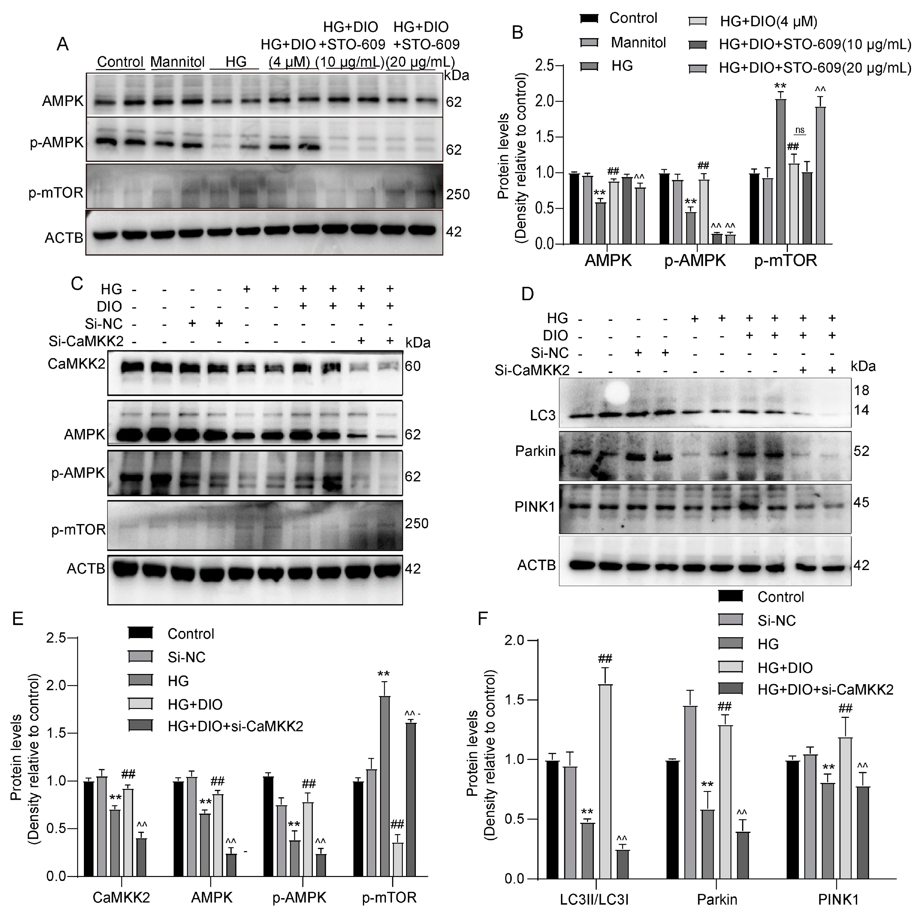 Nutrients 15 03554 g006 Nutrients 15 03554 g006