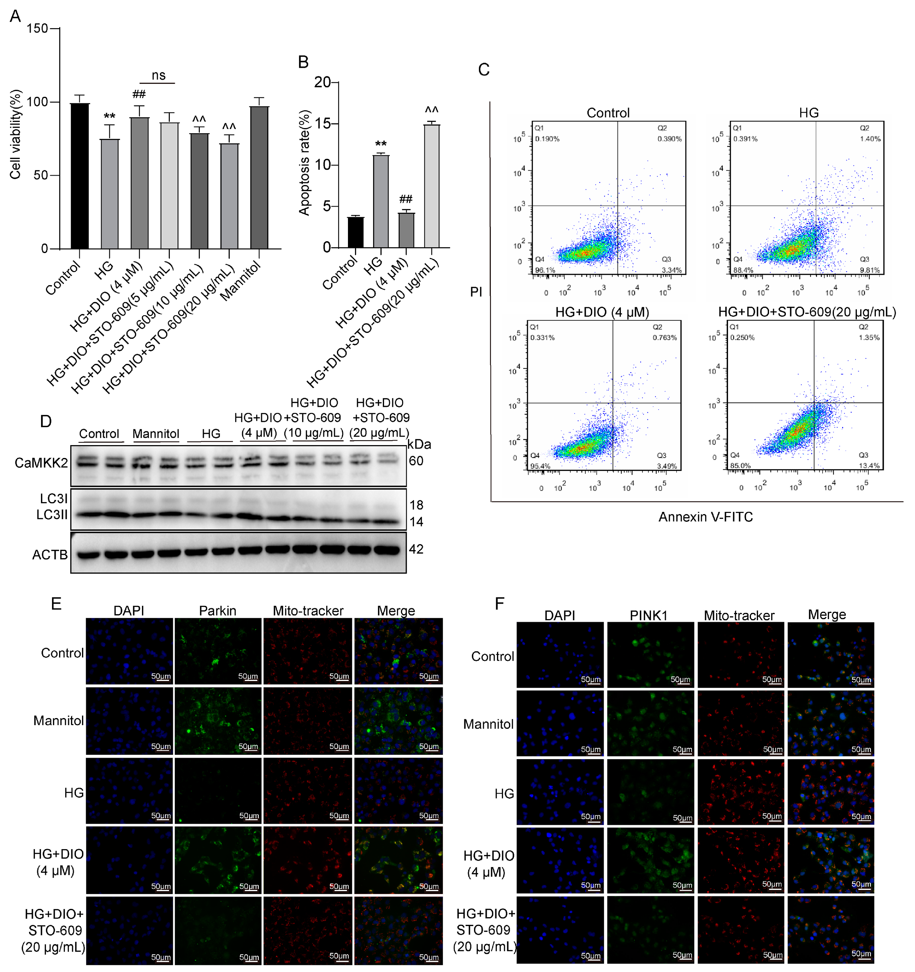 Nutrients 15 03554 g007 Nutrients 15 03554 g007