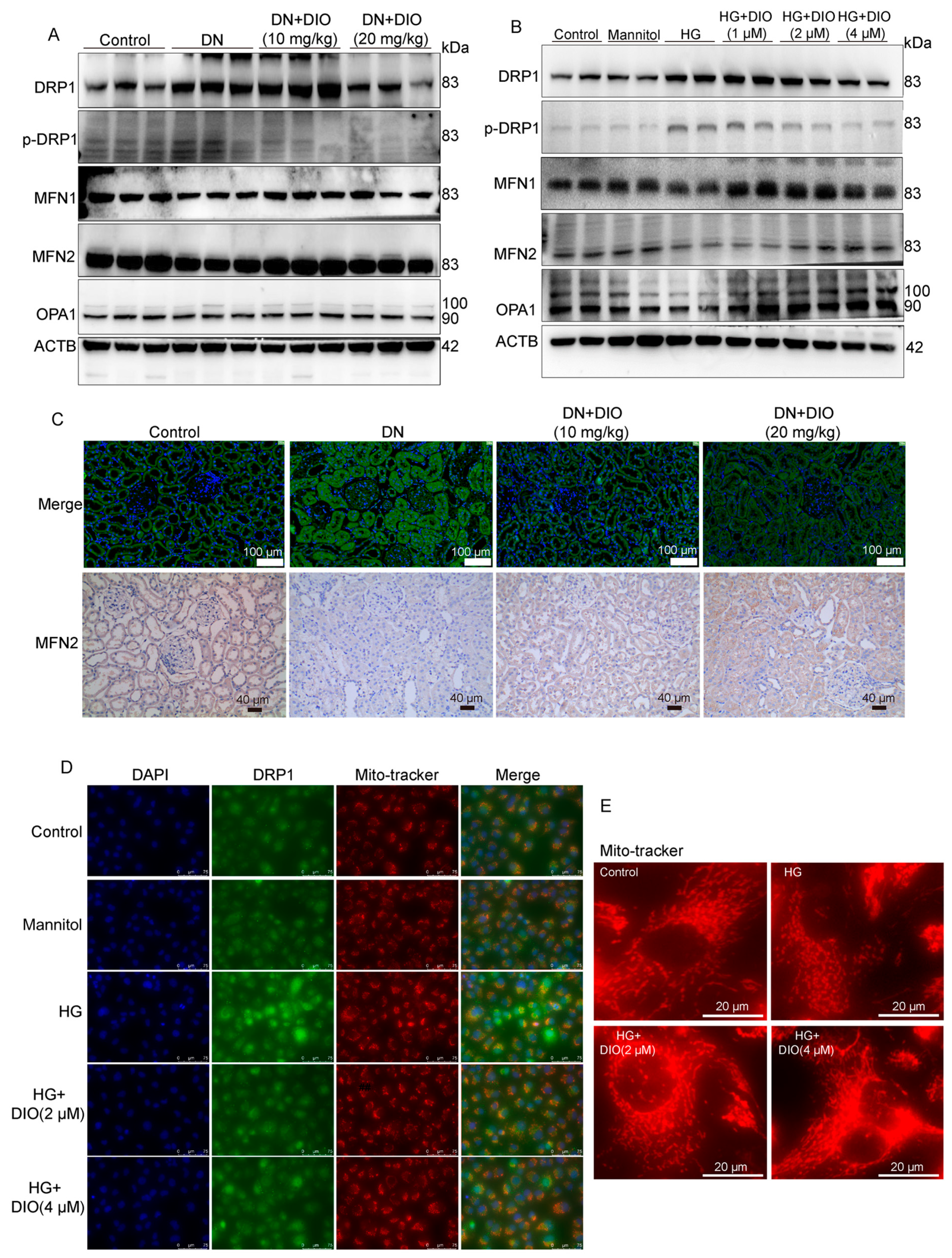 Nutrients 15 03554 g008 Nutrients 15 03554 g008