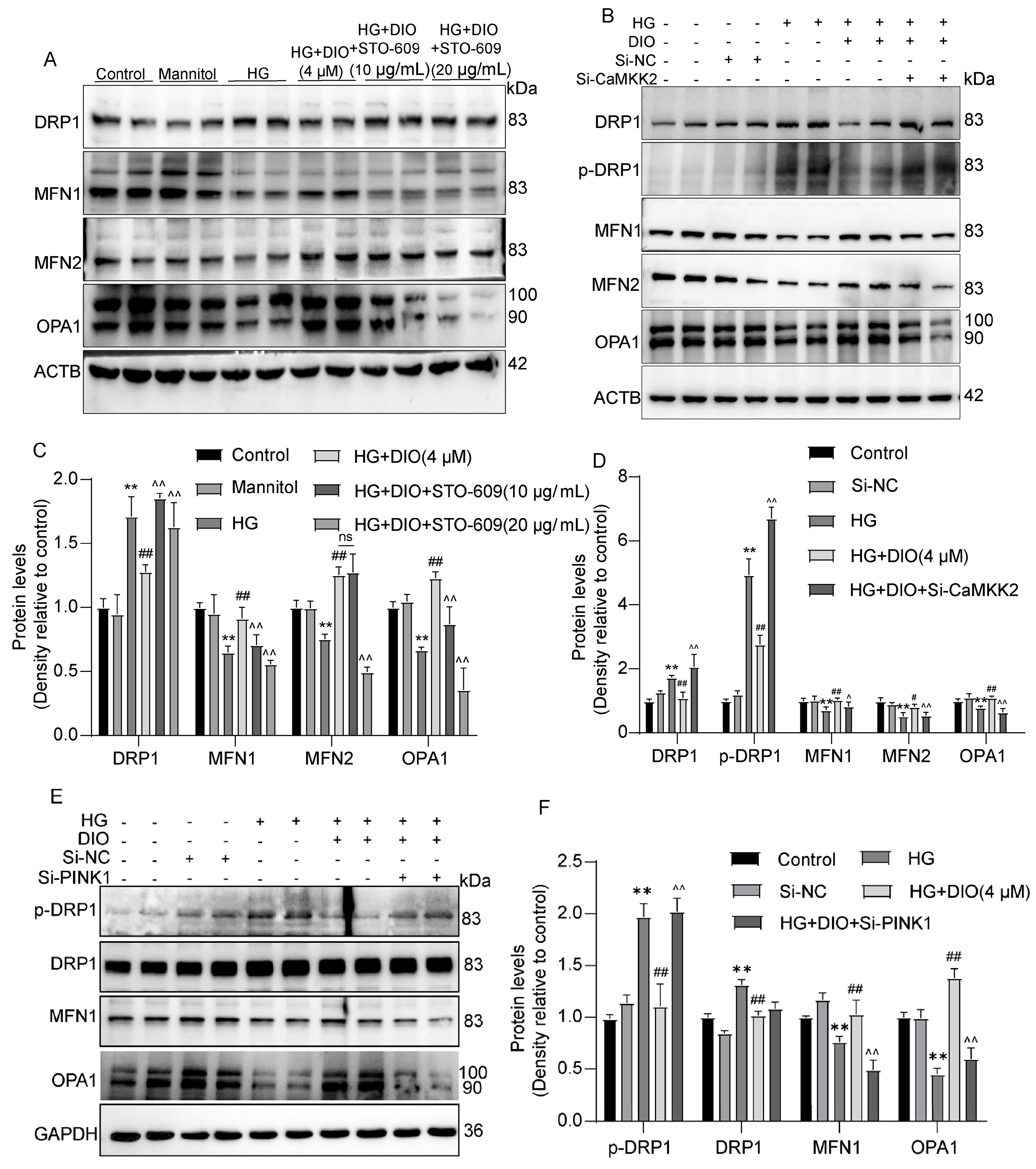 Nutrients 15 03554 g009 Nutrients 15 03554 g009
