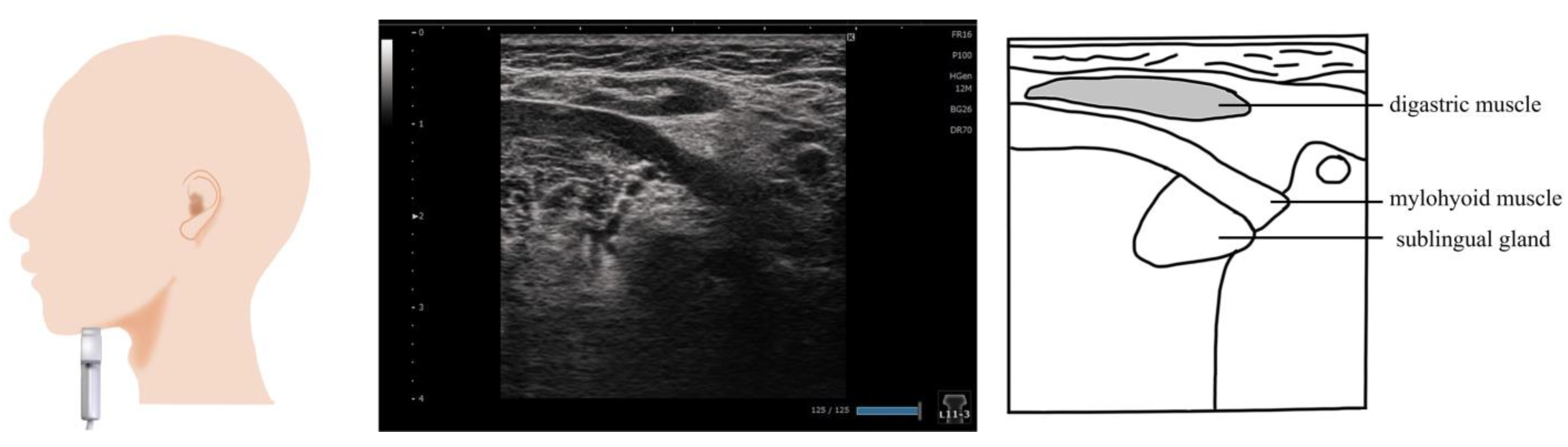 Nutrients 15 03560 g002