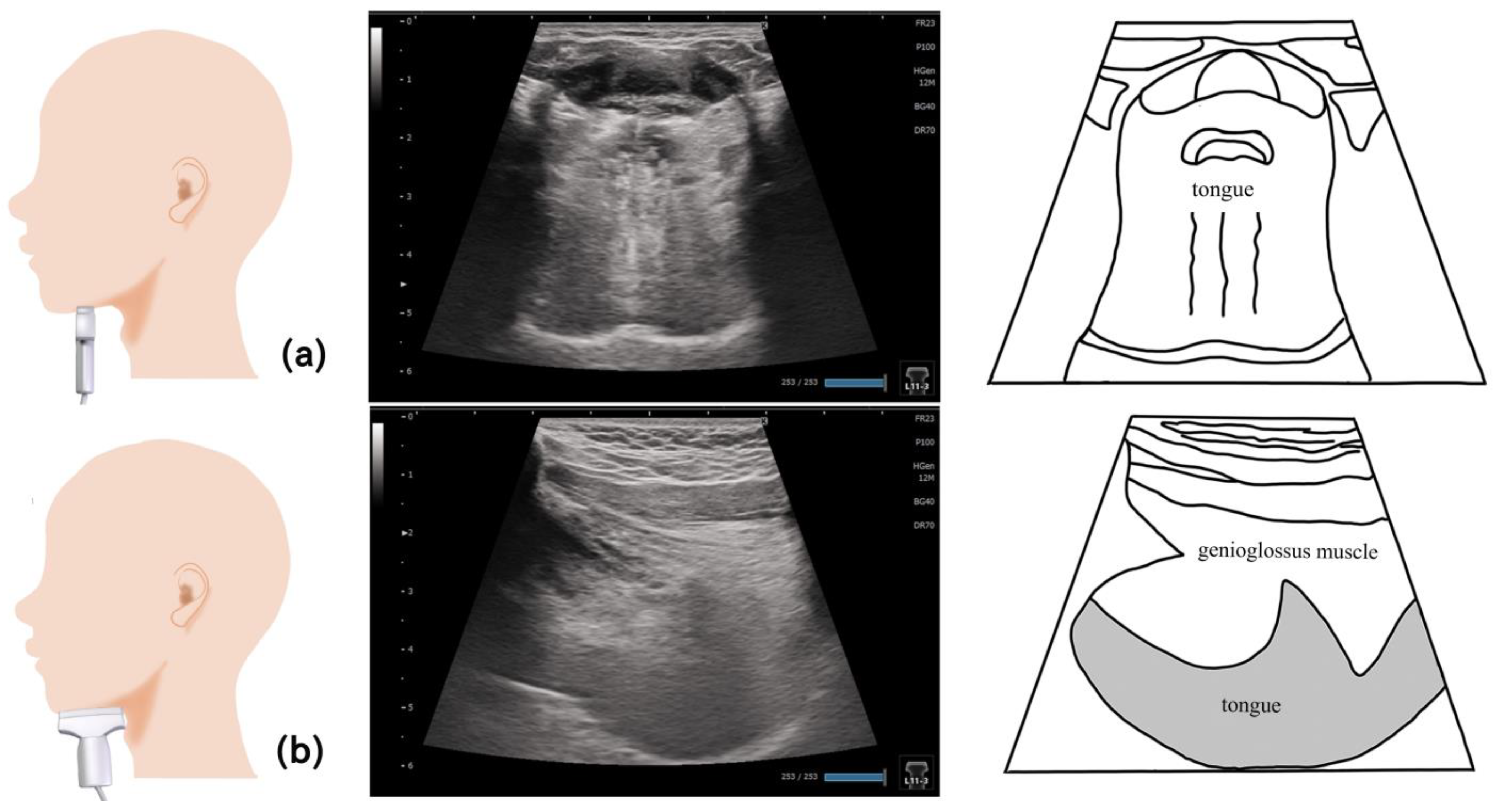 Nutrients 15 03560 g004