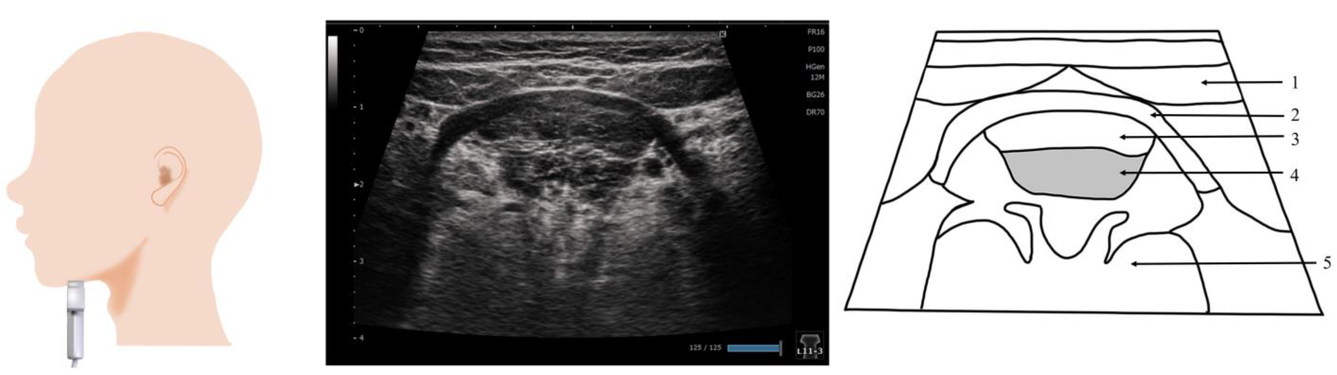 Nutrients 15 03560 g007