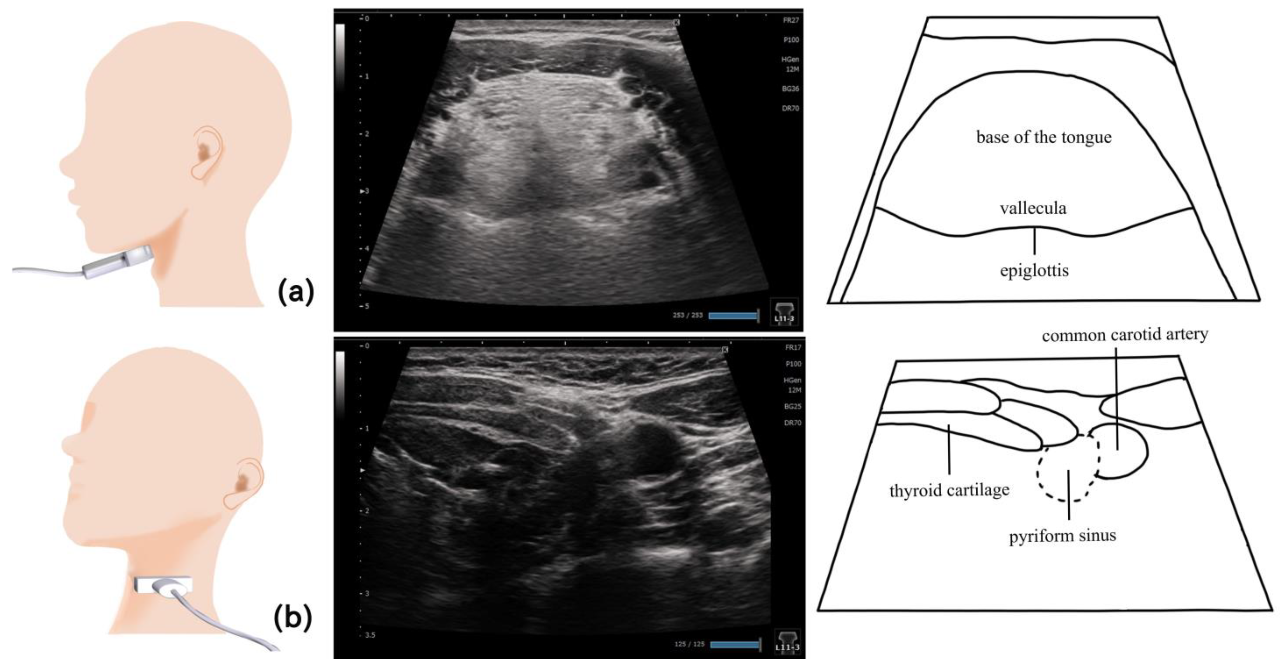 Nutrients 15 03560 g010