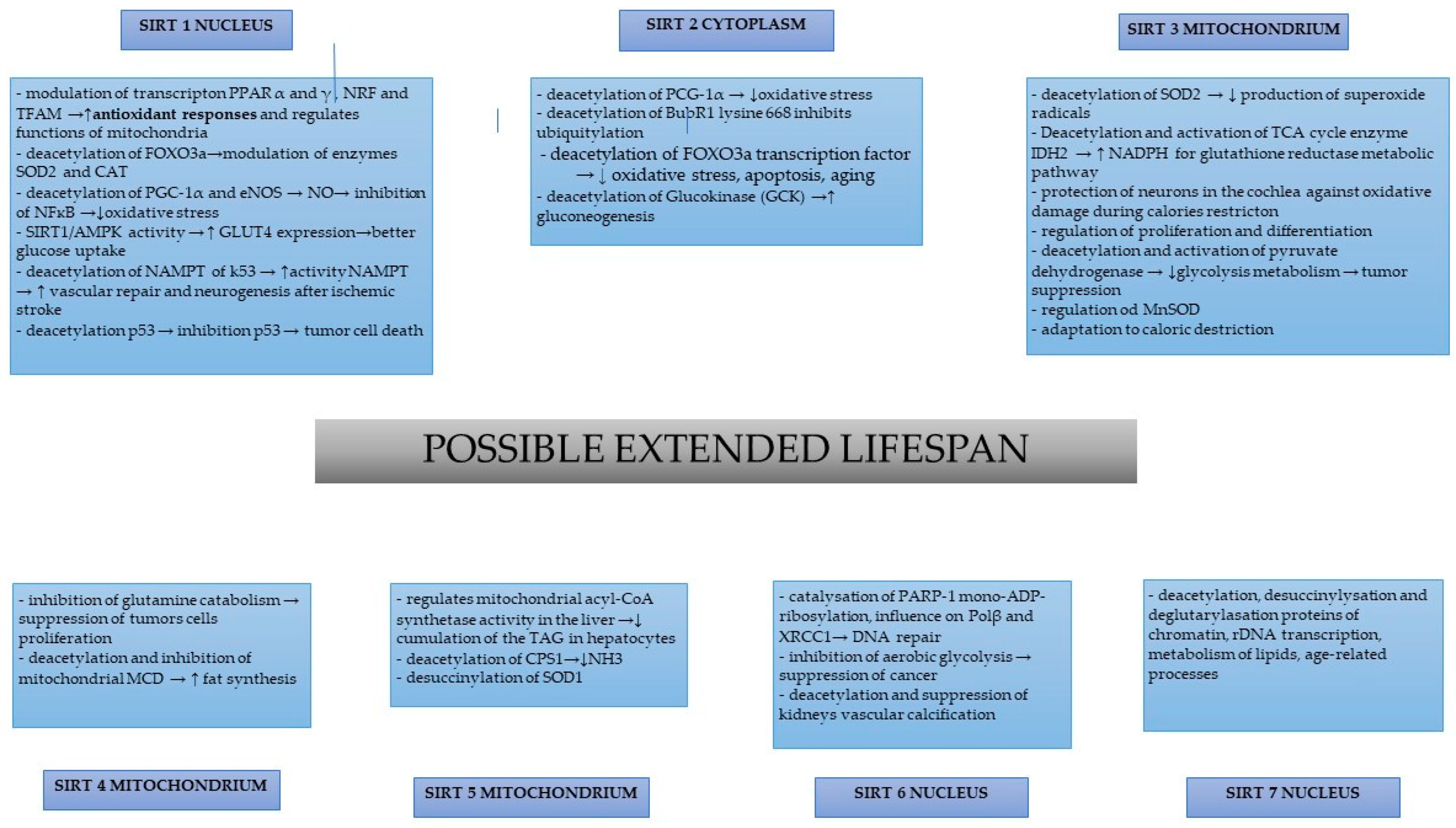 Nutrients 15 03578 g001 Nutrients 15 03578 g001