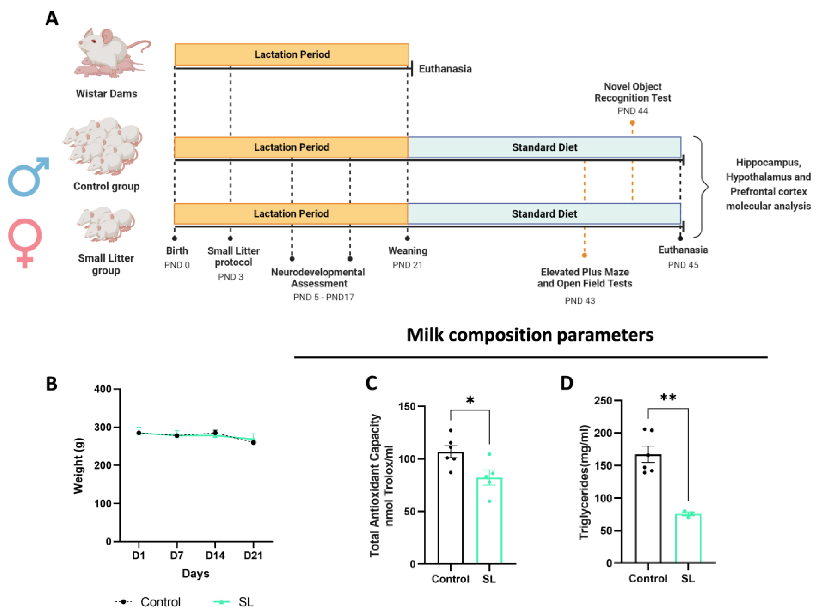 Nutrients 15 03581 g001 Nutrients 15 03581 g001