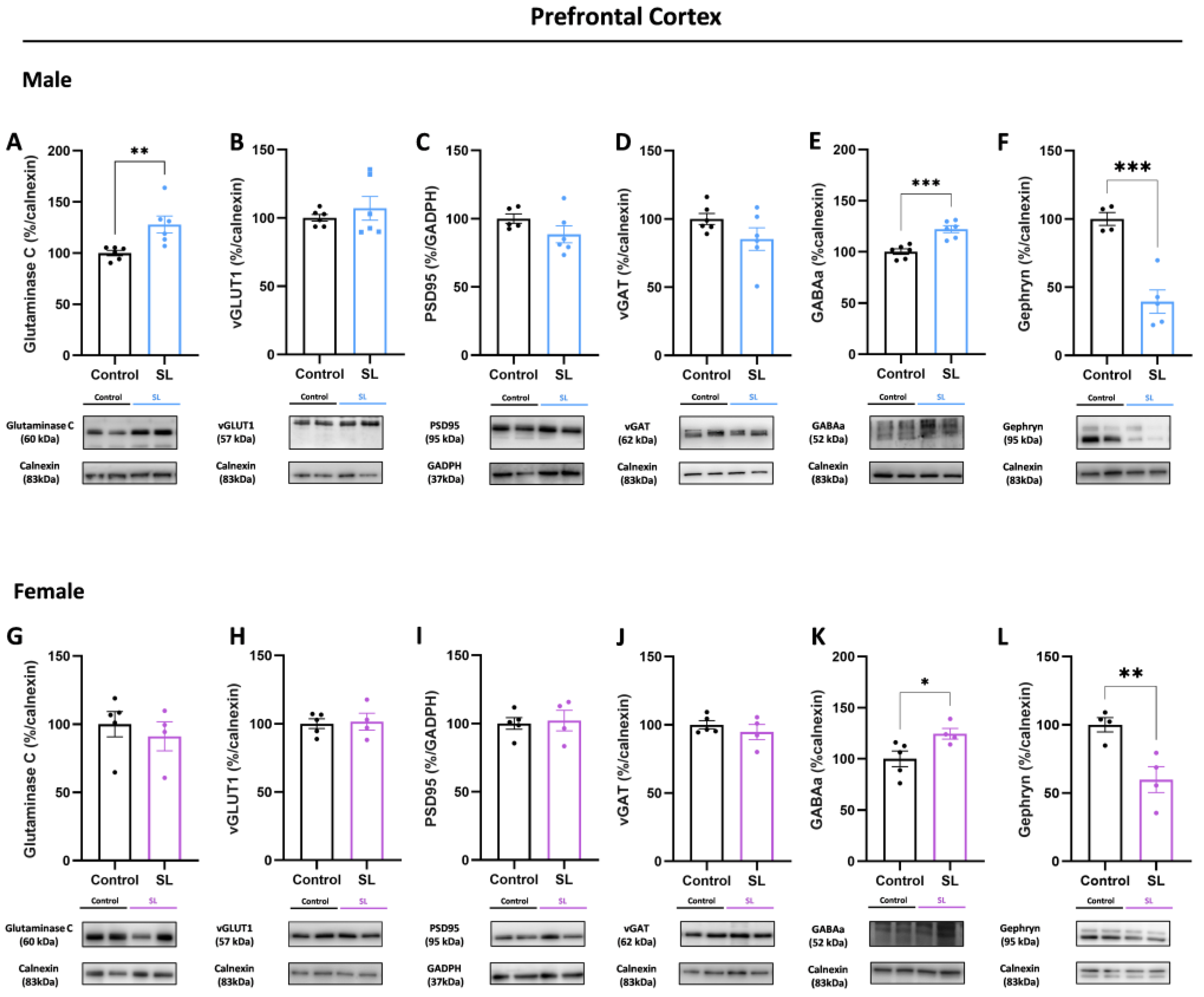 Nutrients 15 03581 g006 Nutrients 15 03581 g006