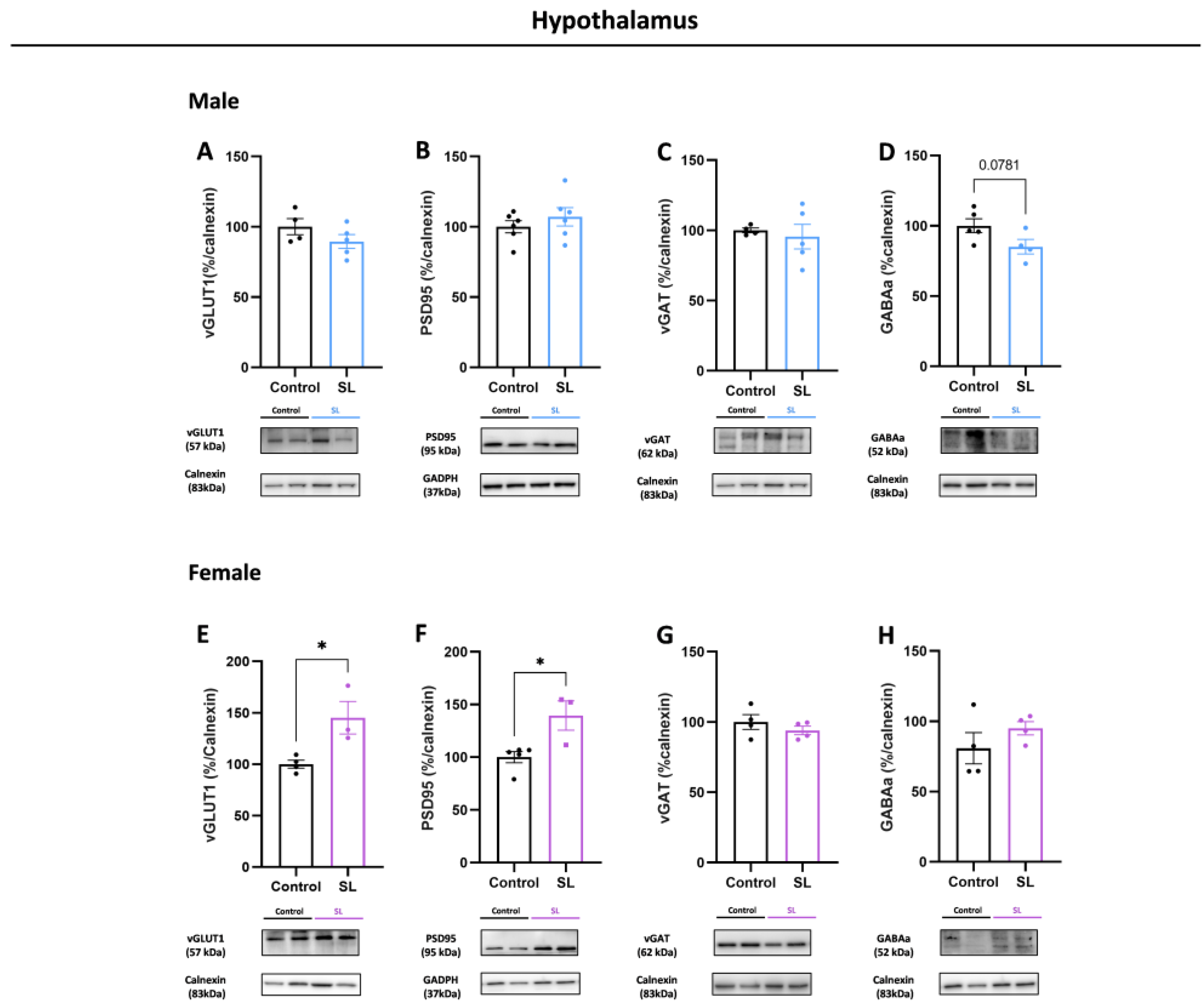 Nutrients 15 03581 g007 Nutrients 15 03581 g007