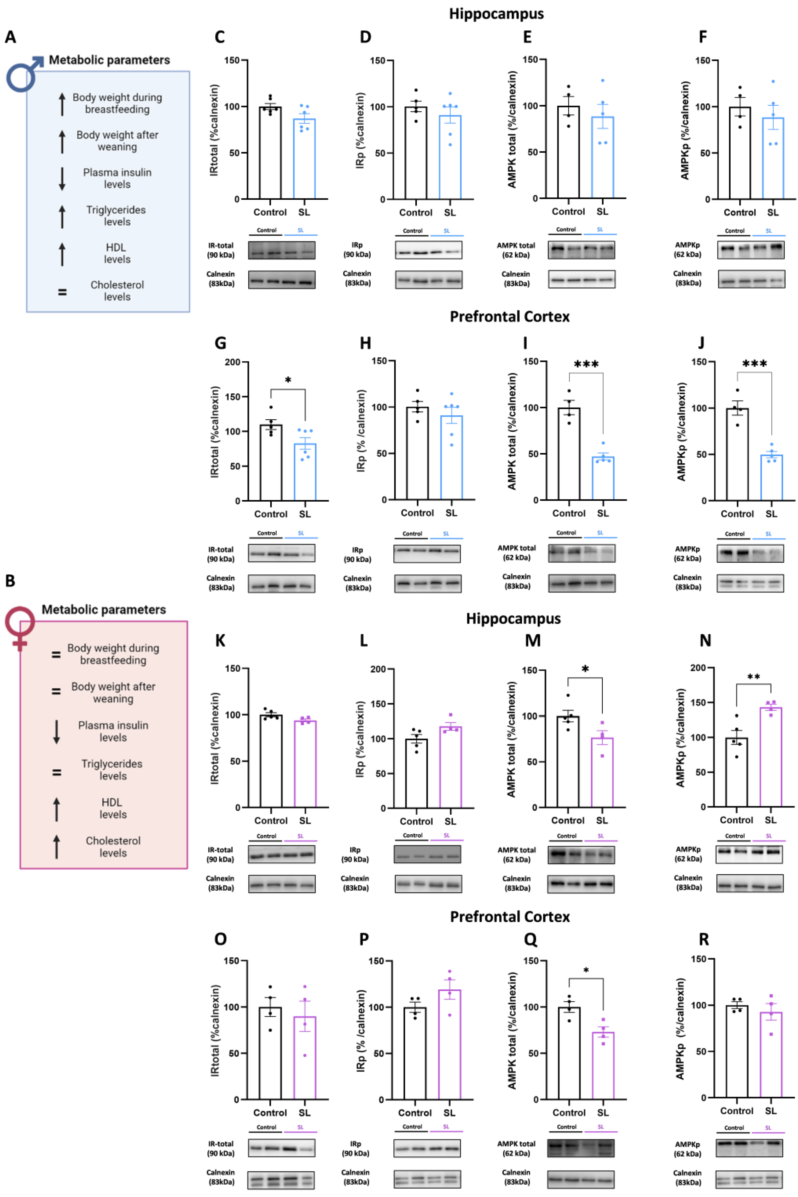 Nutrients 15 03581 g008 Nutrients 15 03581 g008