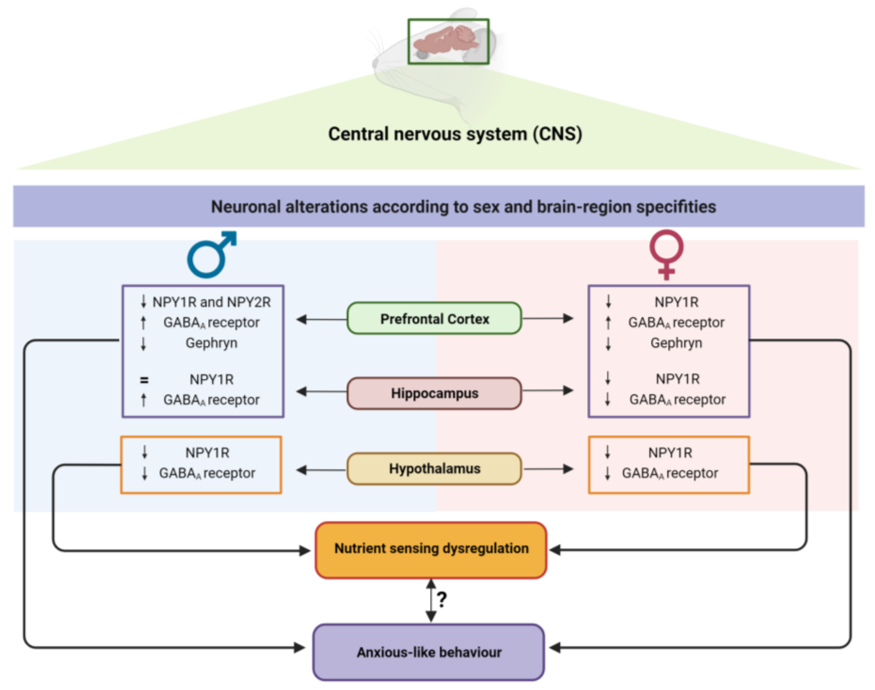 Nutrients 15 03581 g009 Nutrients 15 03581 g009