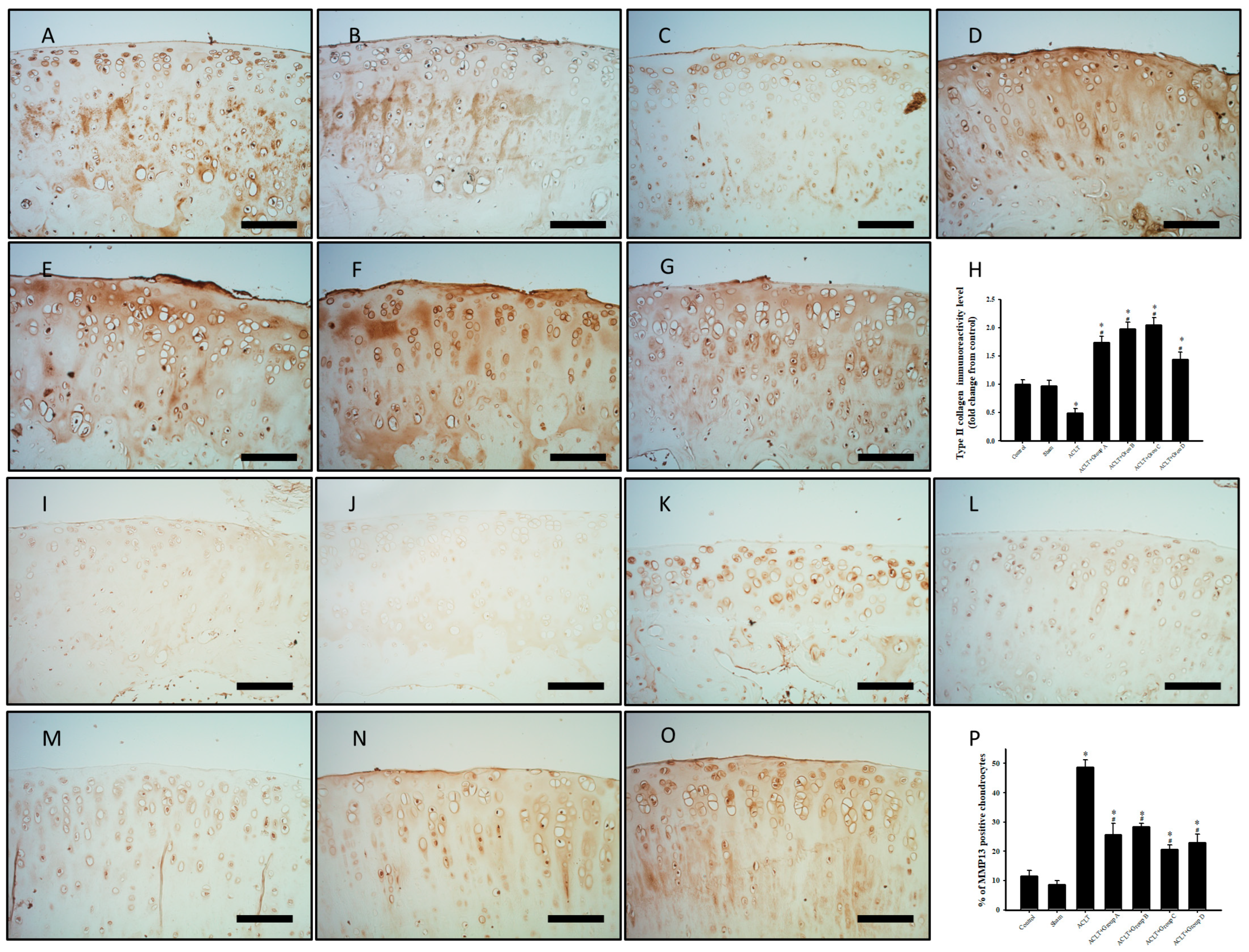 Nutrients 15 03589 g005