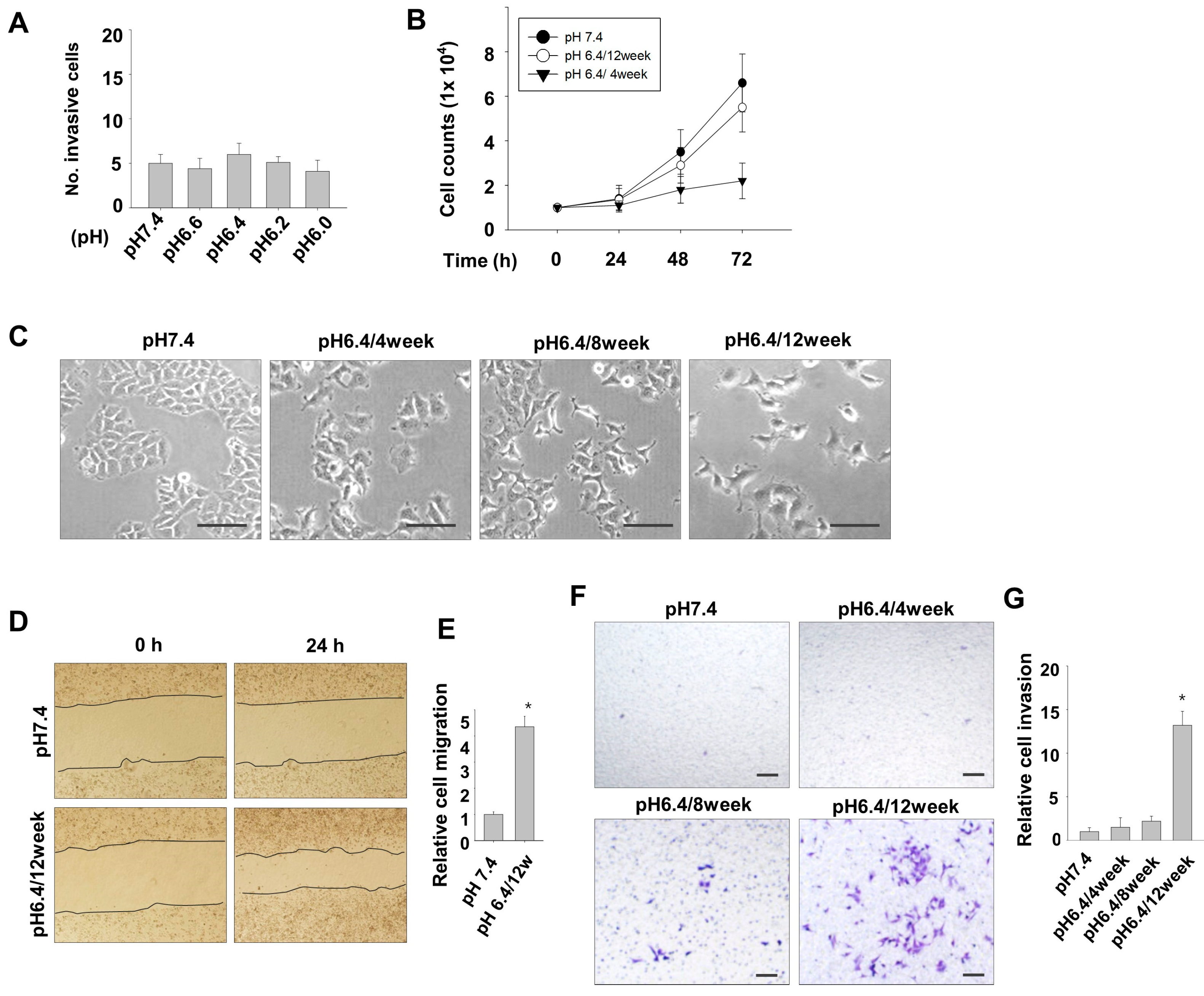 Nutrients 15 03596 g001