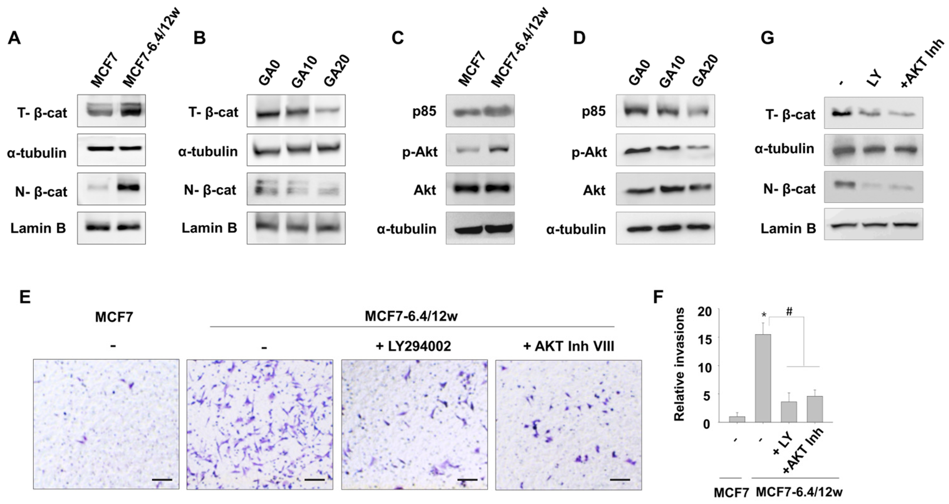 Nutrients 15 03596 g005