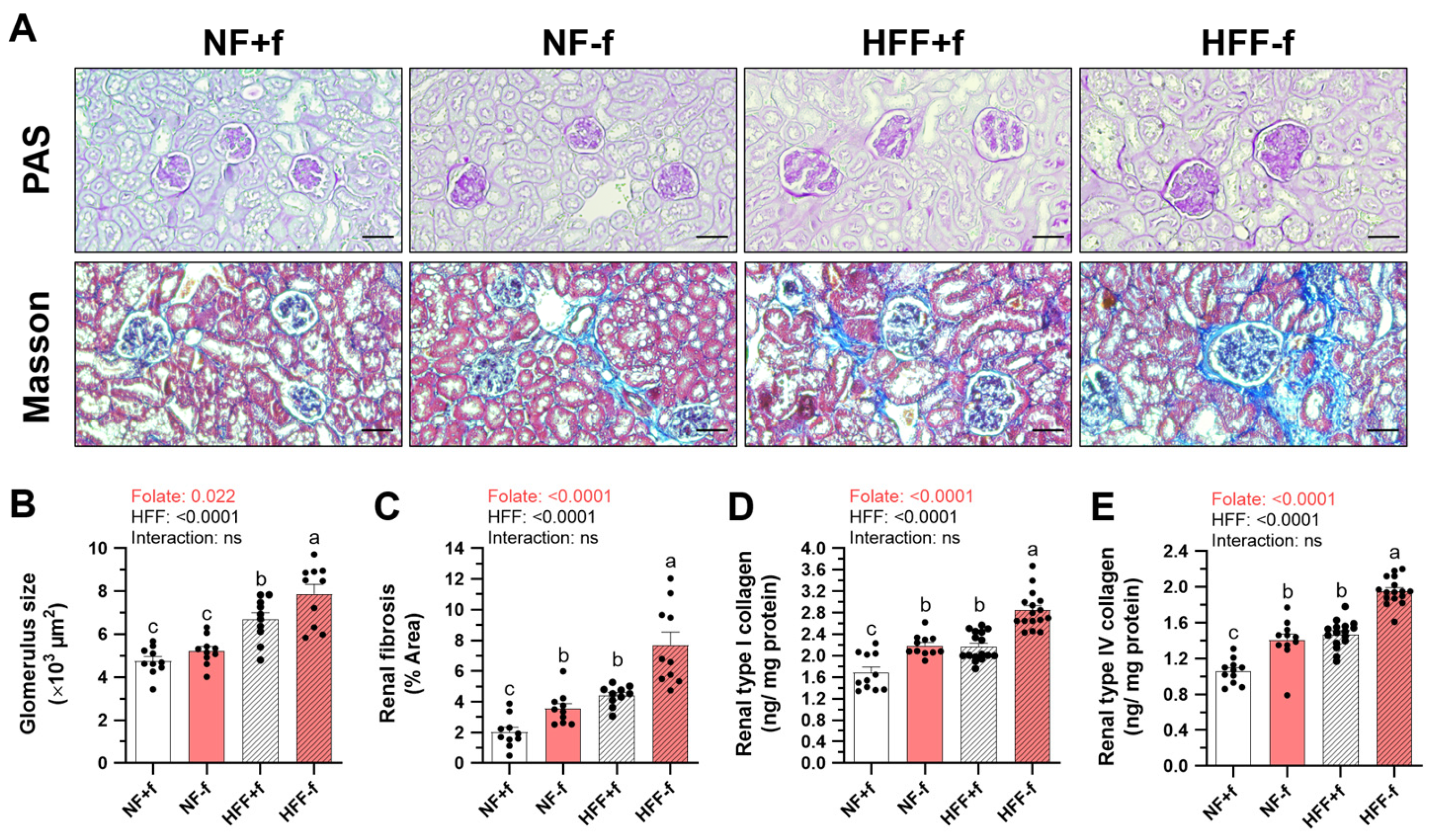Nutrients 15 03616 g006 Nutrients 15 03616 g006