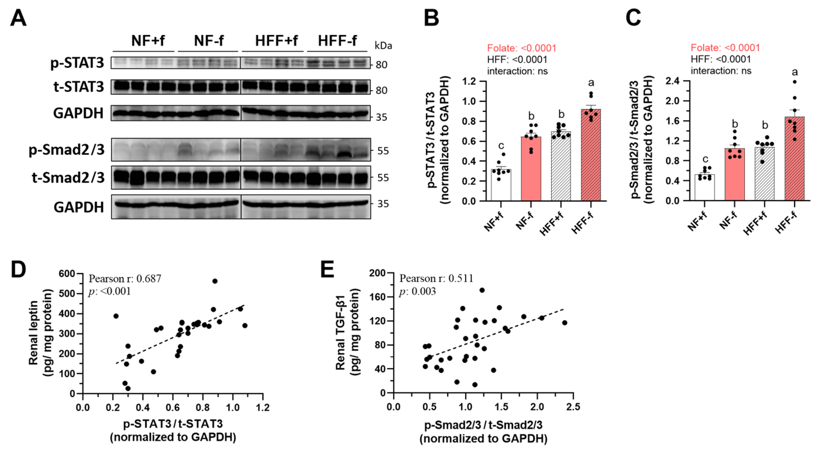 Nutrients 15 03616 g007 Nutrients 15 03616 g007