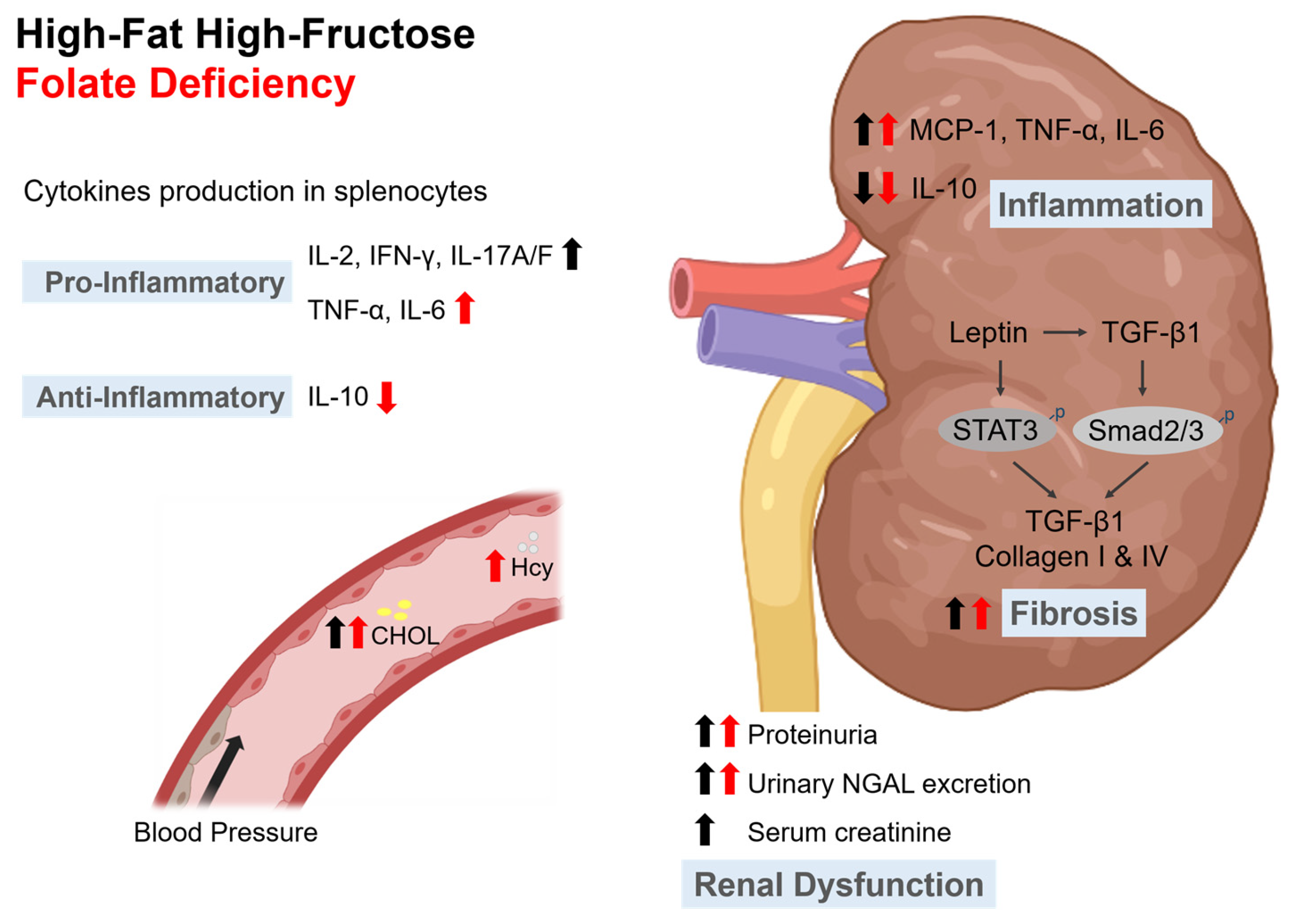 Nutrients 15 03616 g008 Nutrients 15 03616 g008