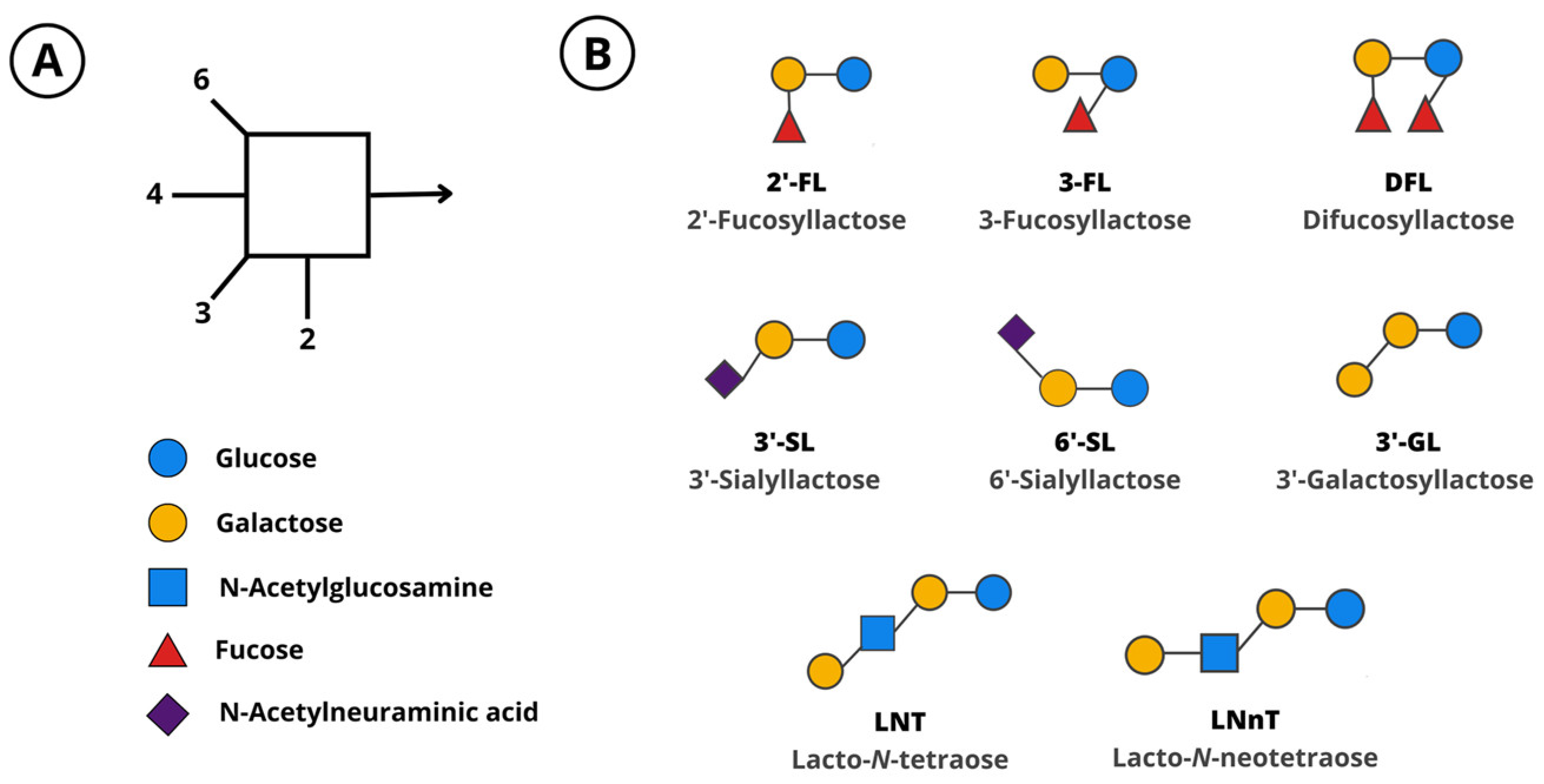 Nutrients 15 03622 g001